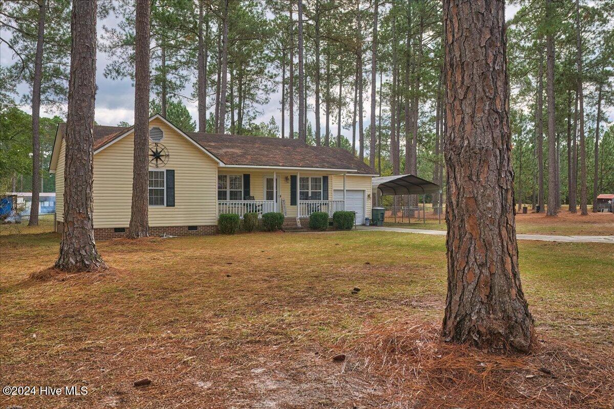 114 Starling Street Property Photo 34