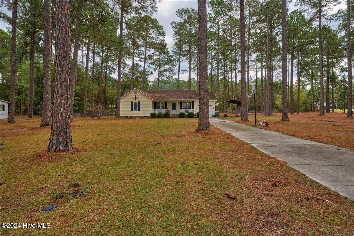 114 Starling Street Property Photo 35