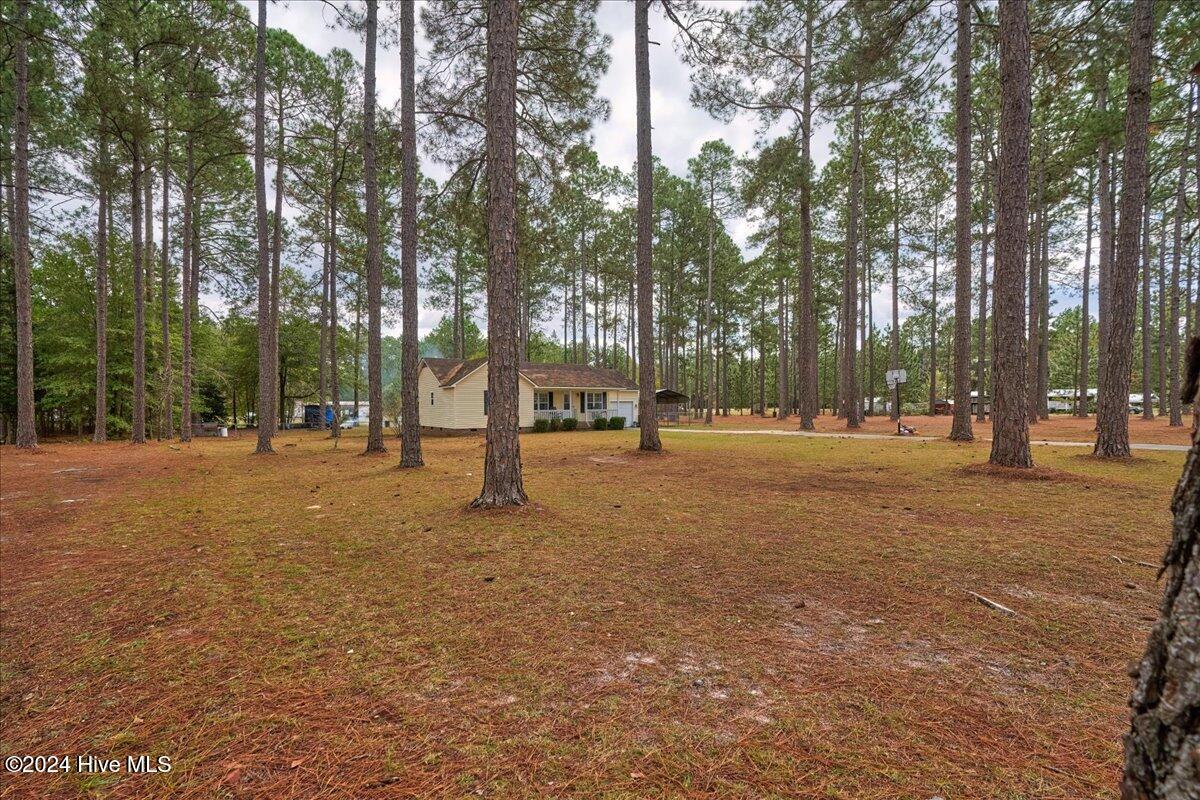 114 Starling Street Property Photo 36