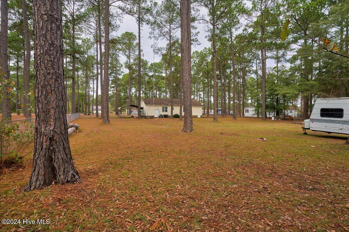 114 Starling Street Property Photo 38