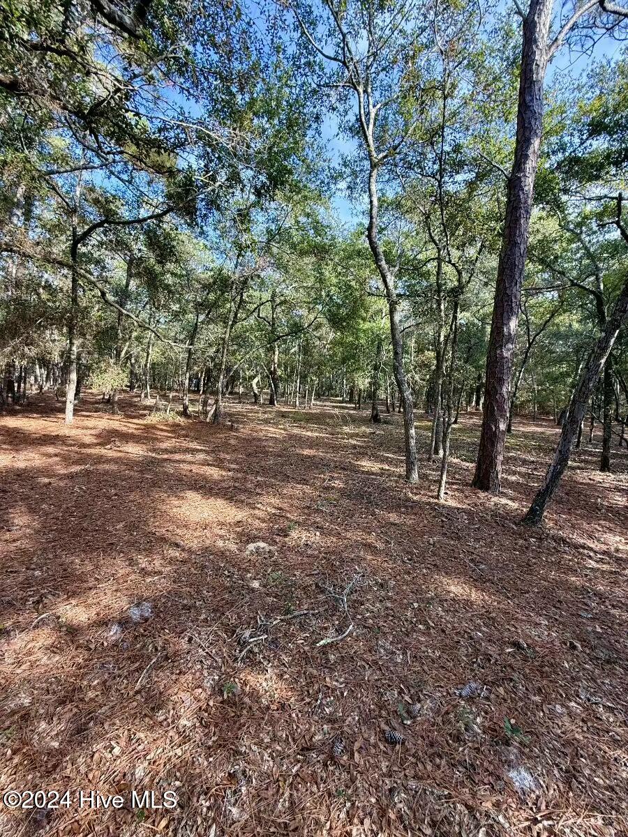 3535 Concordia Avenue Property Photo 2