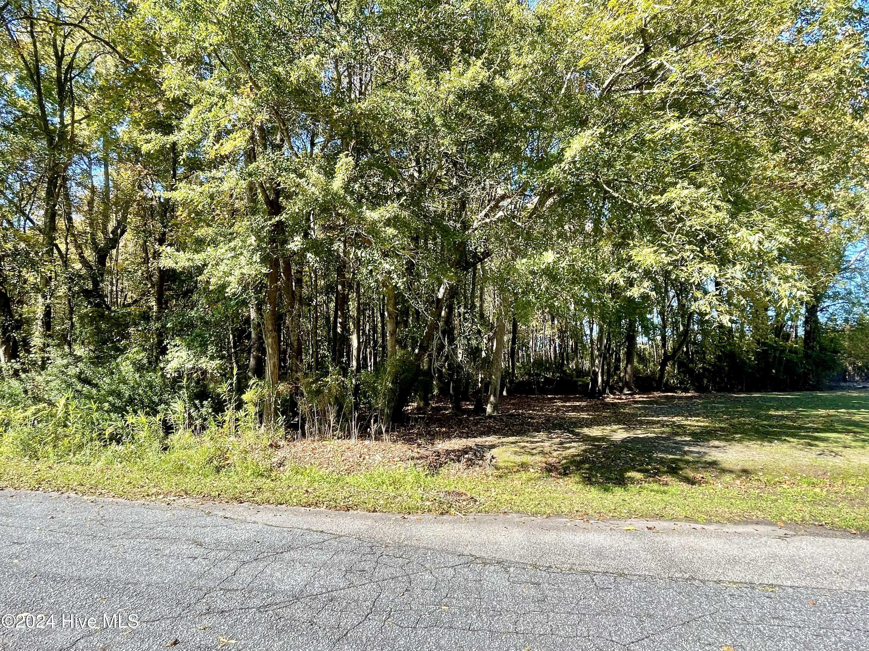 1239 Chance Boulevard Property Photo 1