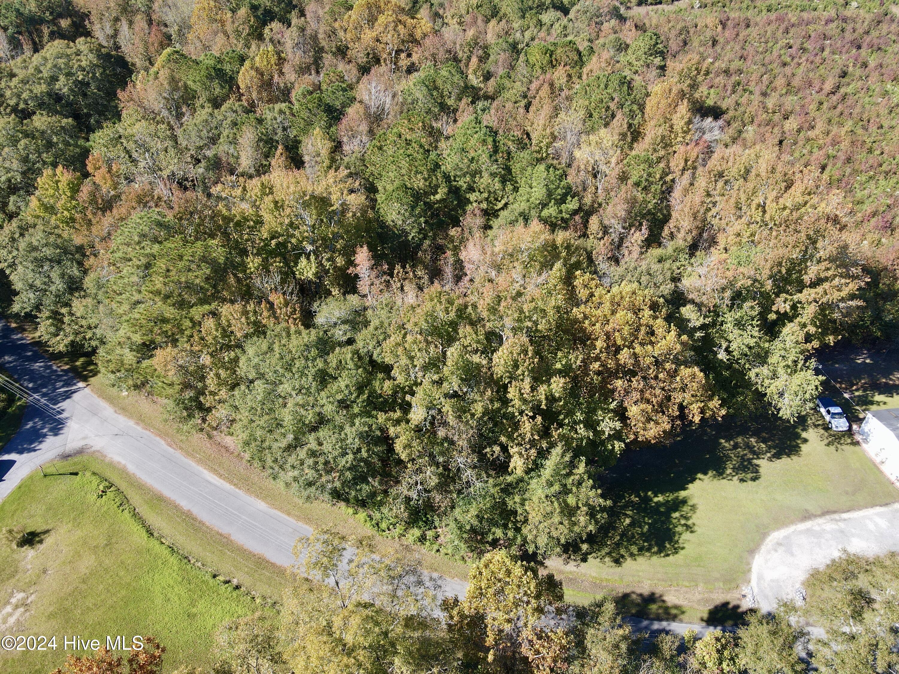 1239 Chance Boulevard Property Photo 3