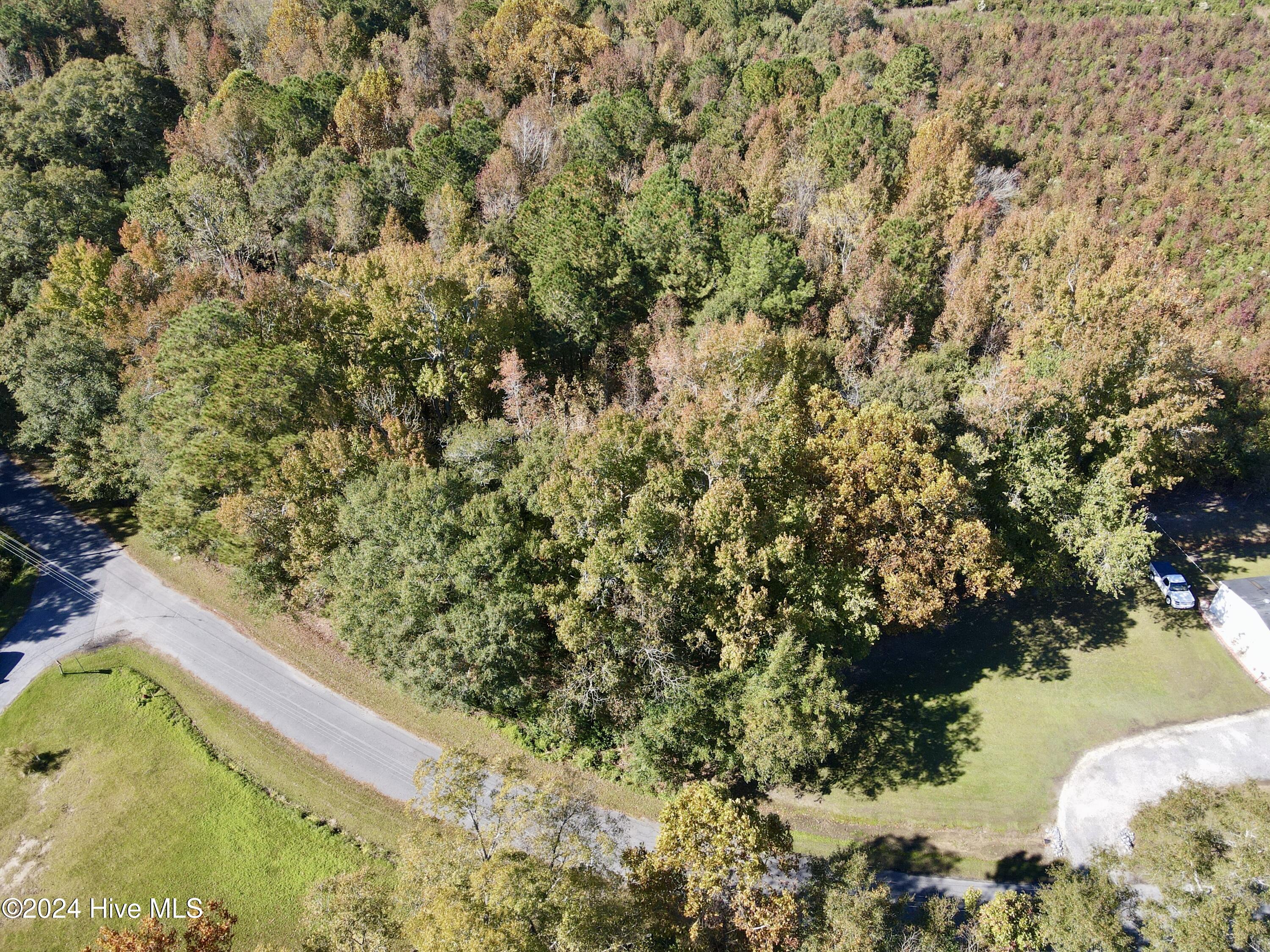 1239 Chance Boulevard Property Photo 4