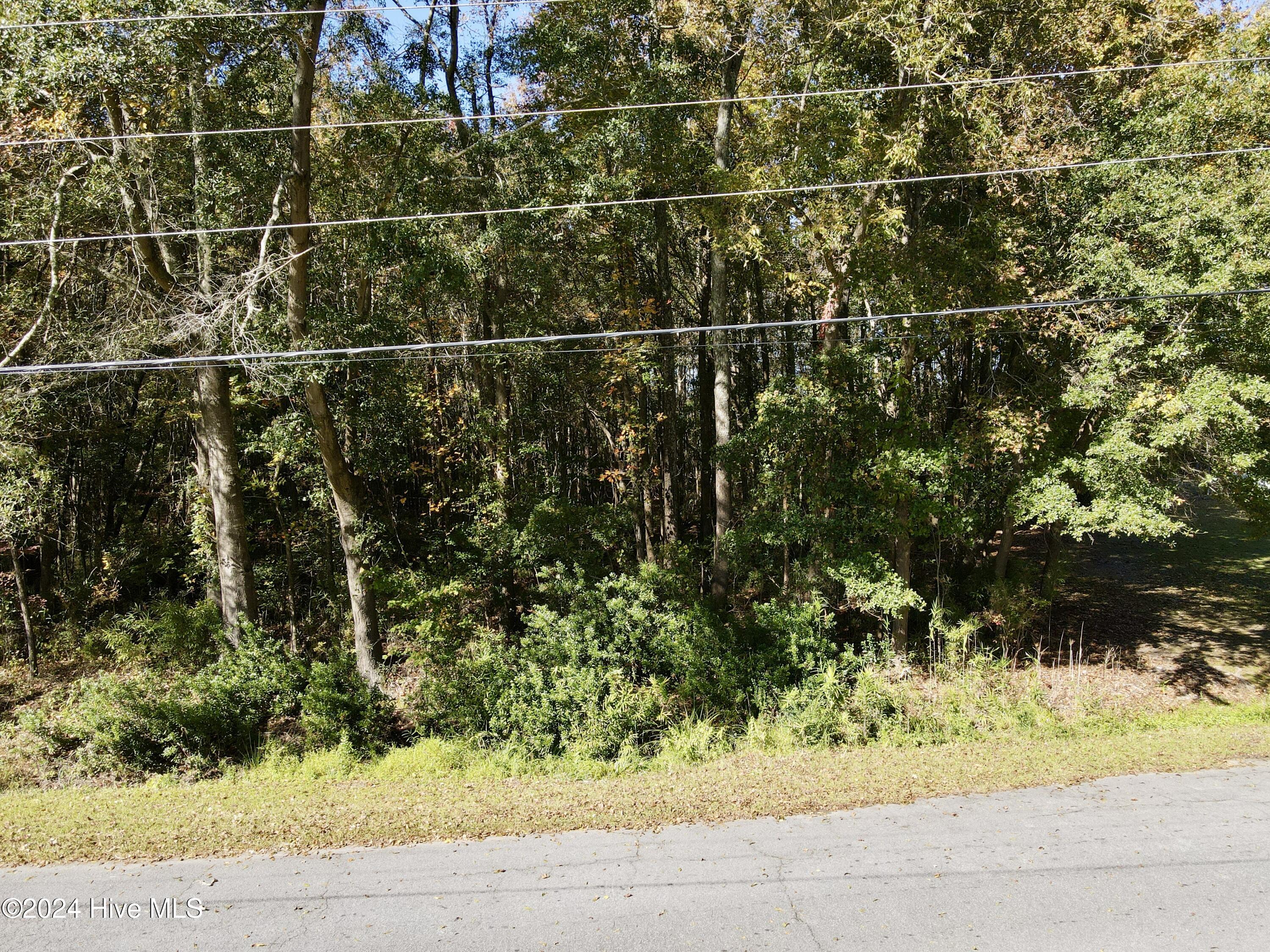 1239 Chance Boulevard Property Photo 6