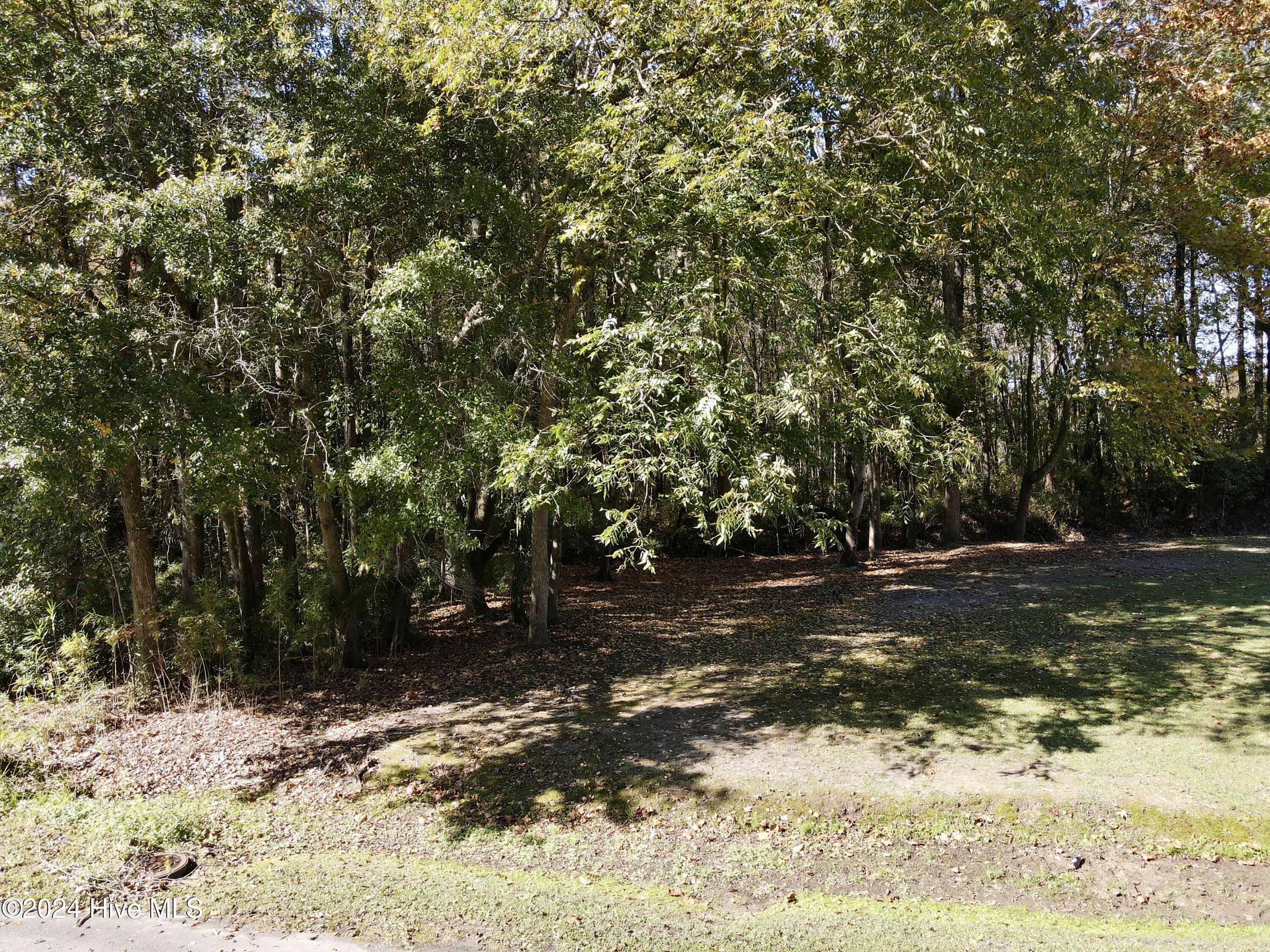 1239 Chance Boulevard Property Photo 7