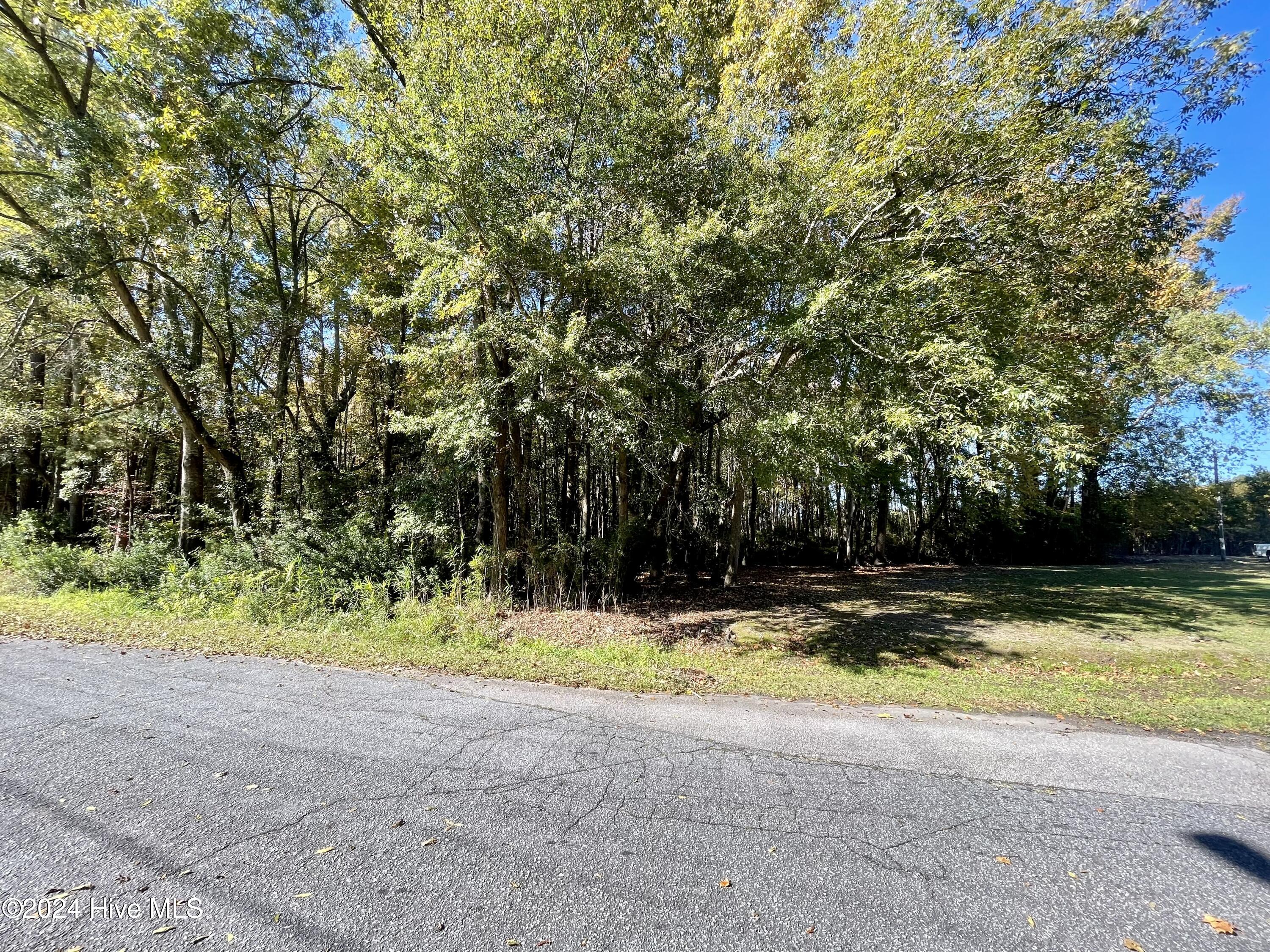 1239 Chance Boulevard Property Photo 10