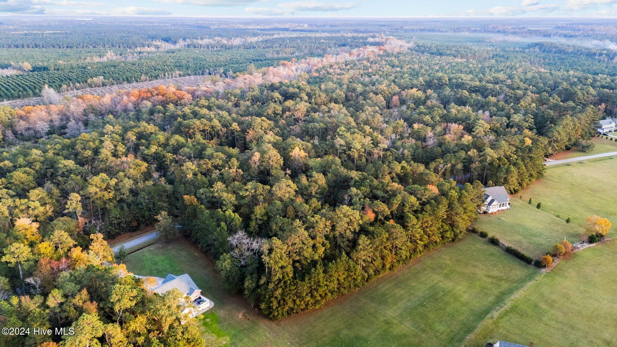 117 Little Creek Drive Property Photo 12