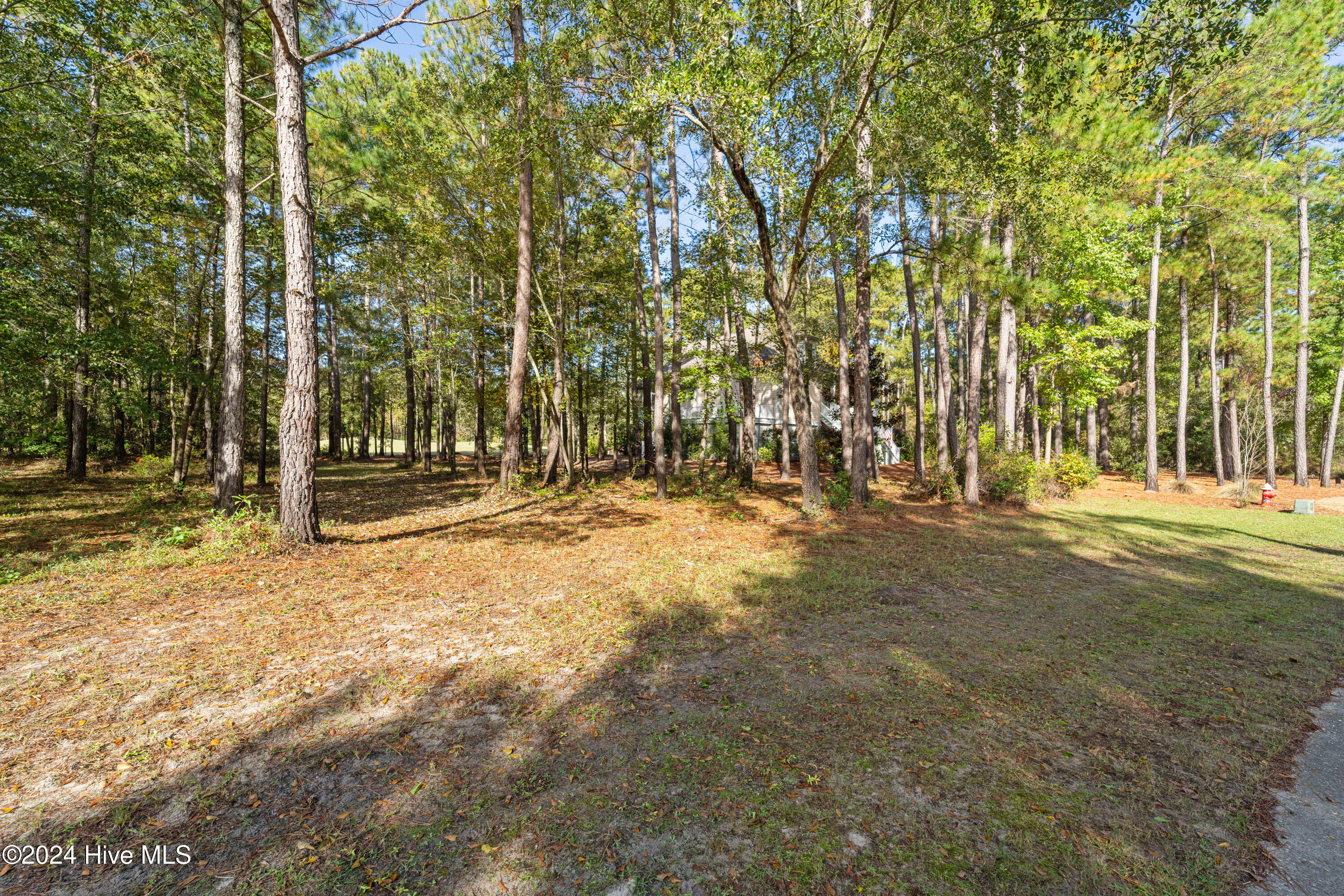 242 River Woods Drive Property Photo 9