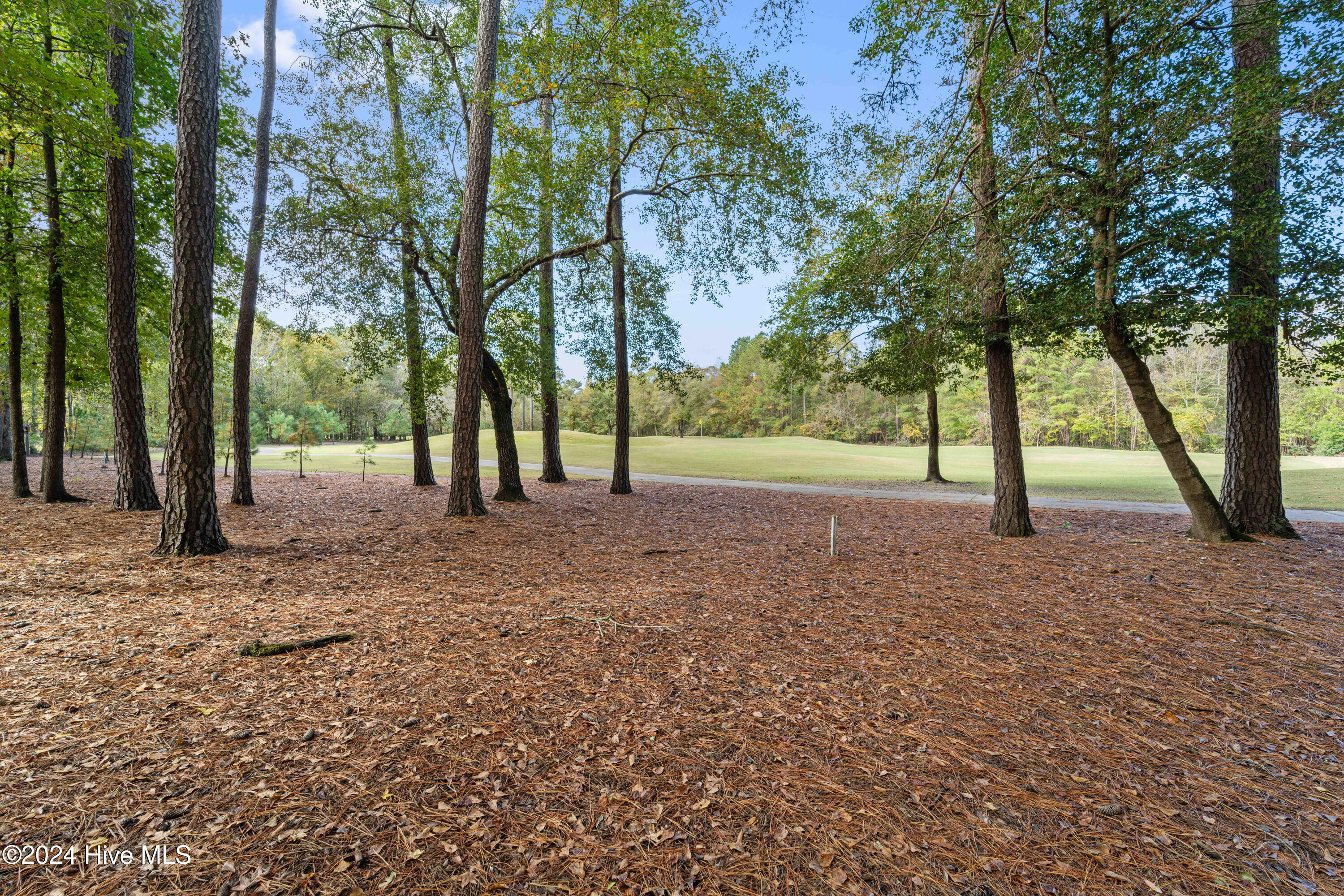 242 River Woods Drive Property Photo 19