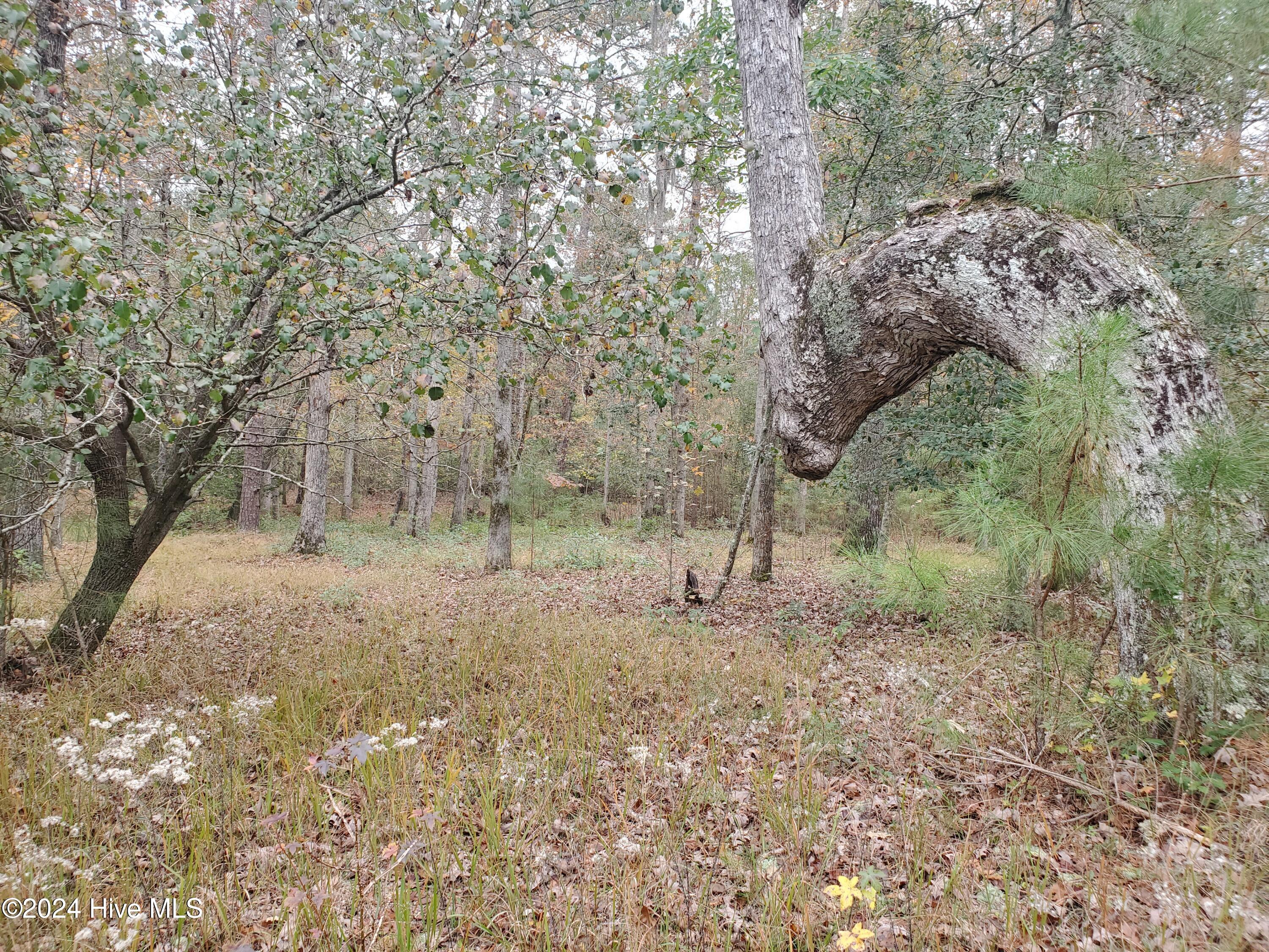 Lot 98 Waters Edge Drive
