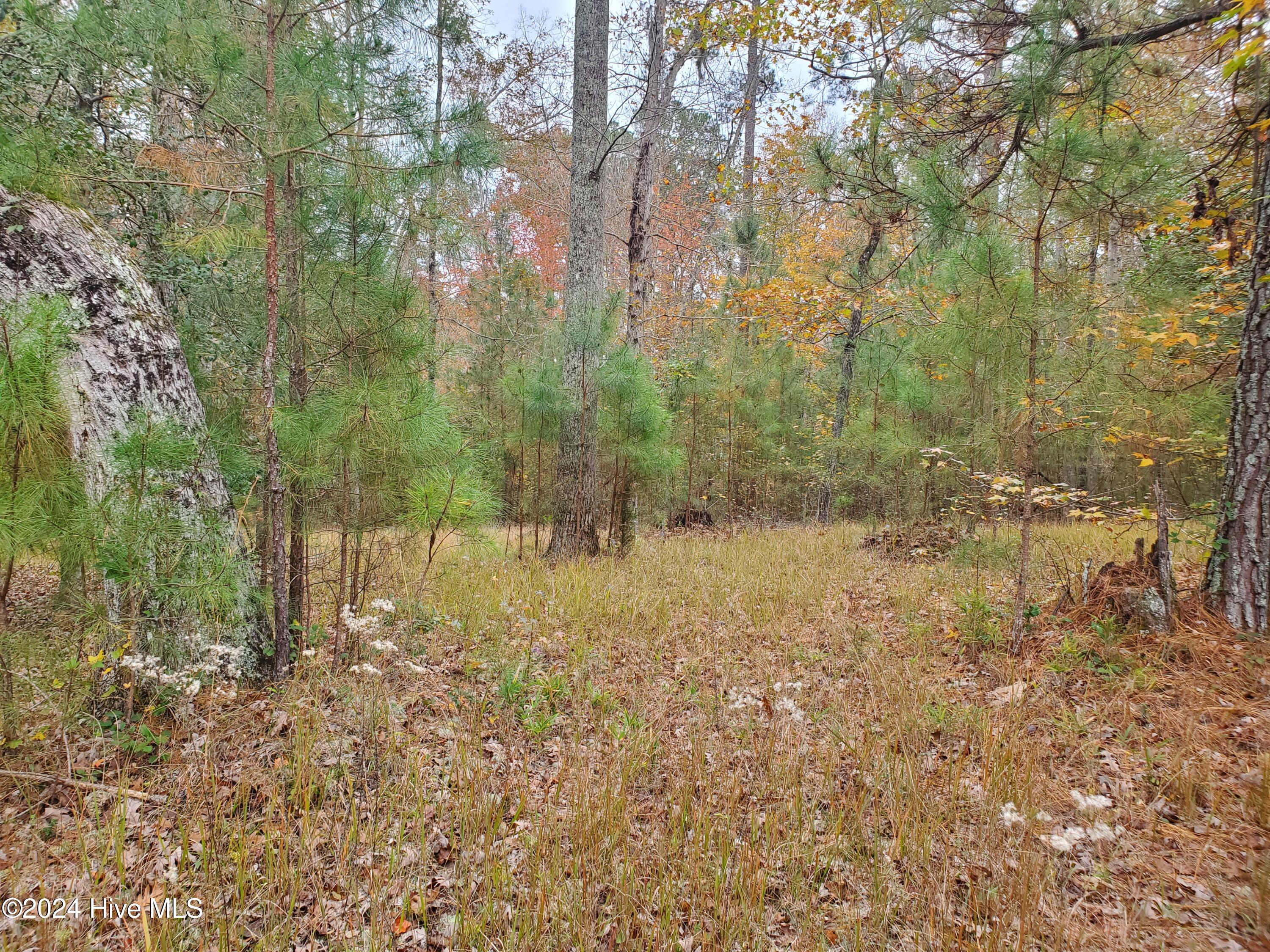 Lot 98 Waters Edge Drive Property Photo 2
