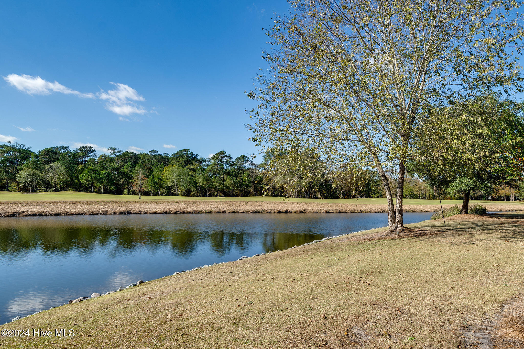 209 Falls Landing Way Property Photo 32