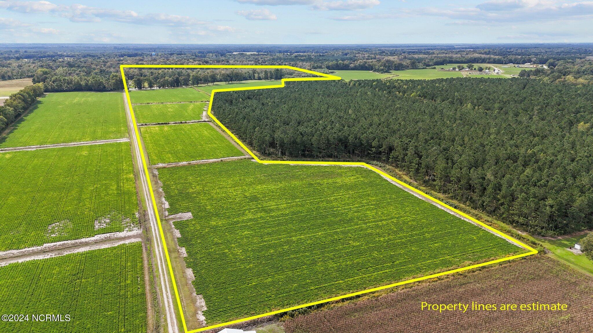 215 Nc 43 Hwy Property Photo 13