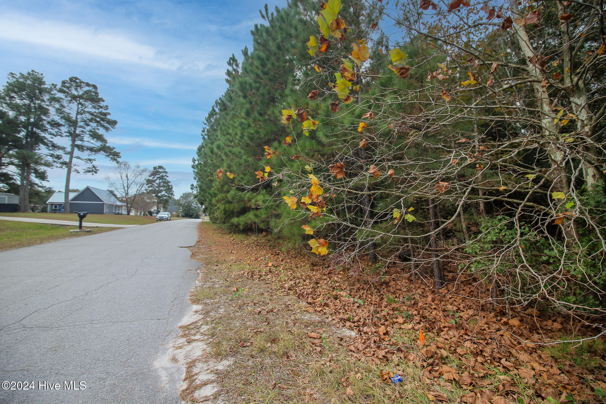 861 Roberts Road Property Photo 2