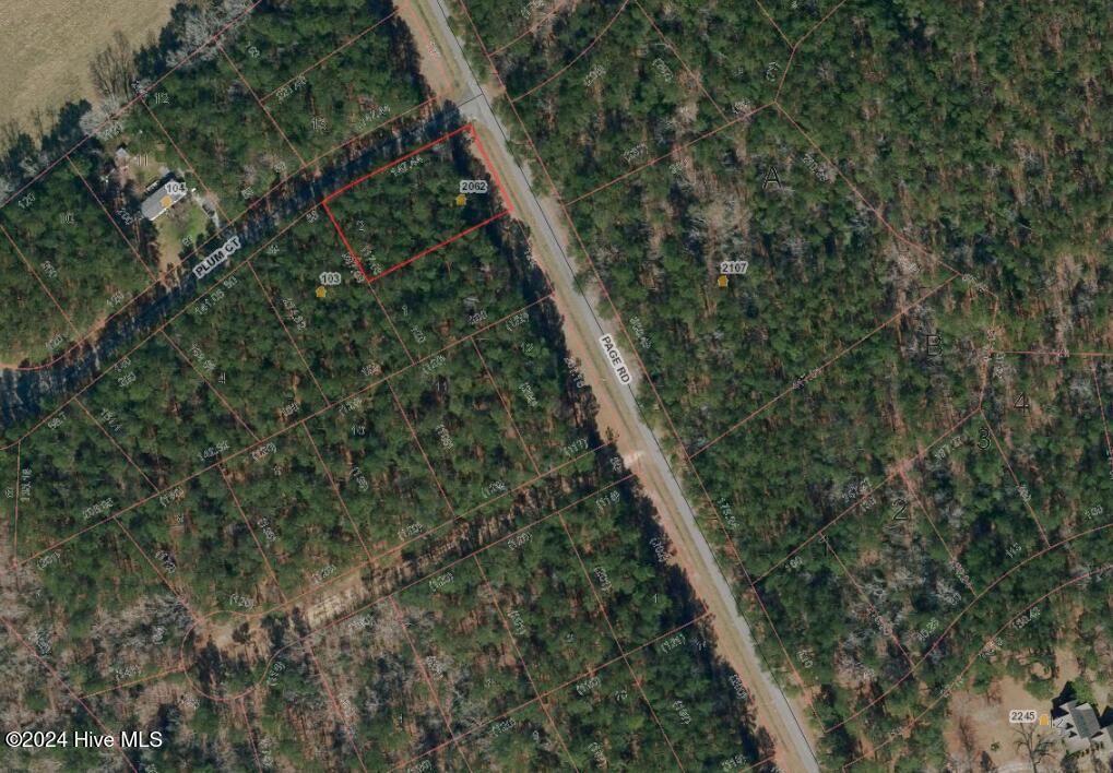 2062 Page Road Property Photo 11