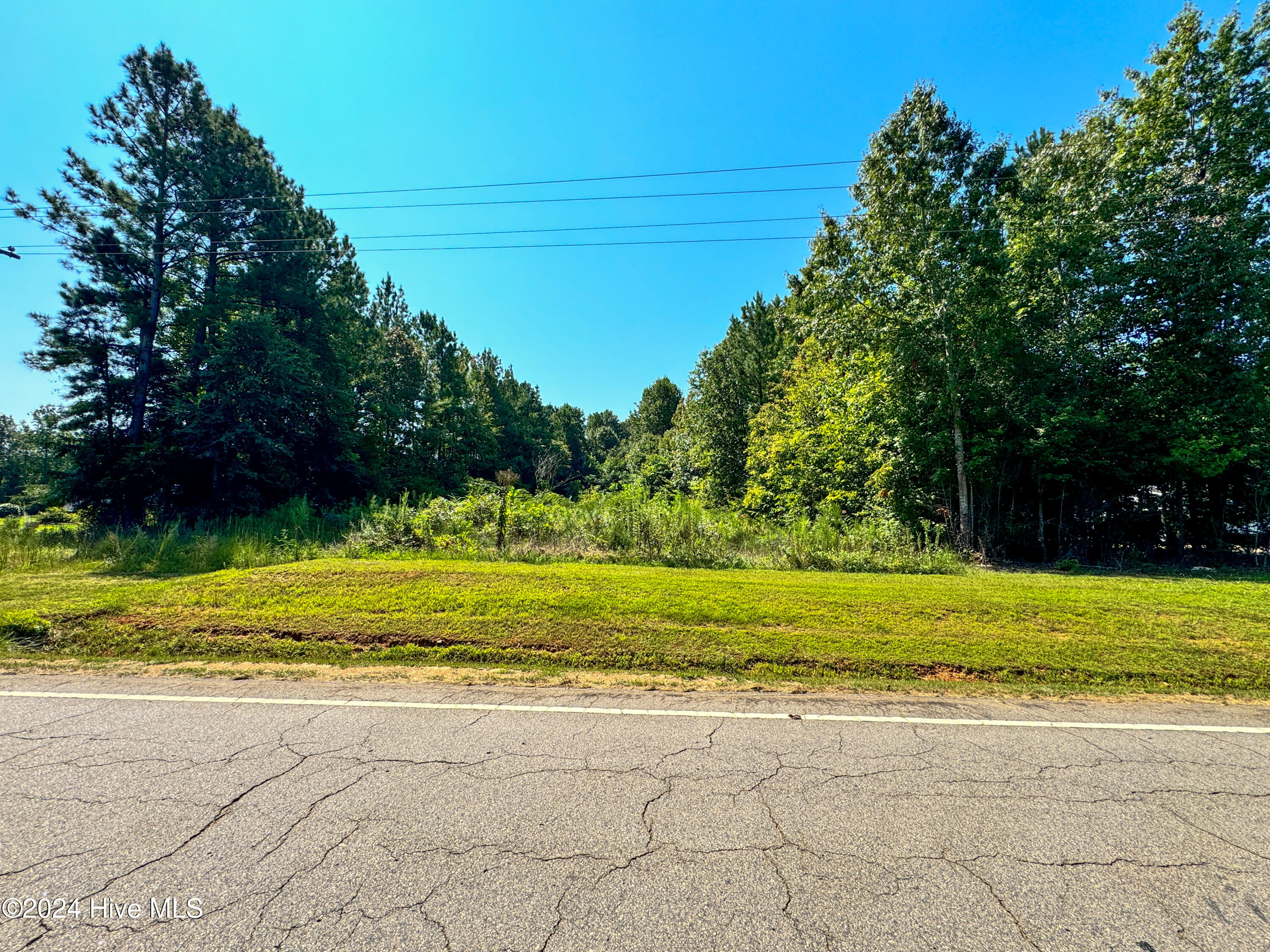 0 Gillis Alston Road Property Photo 34
