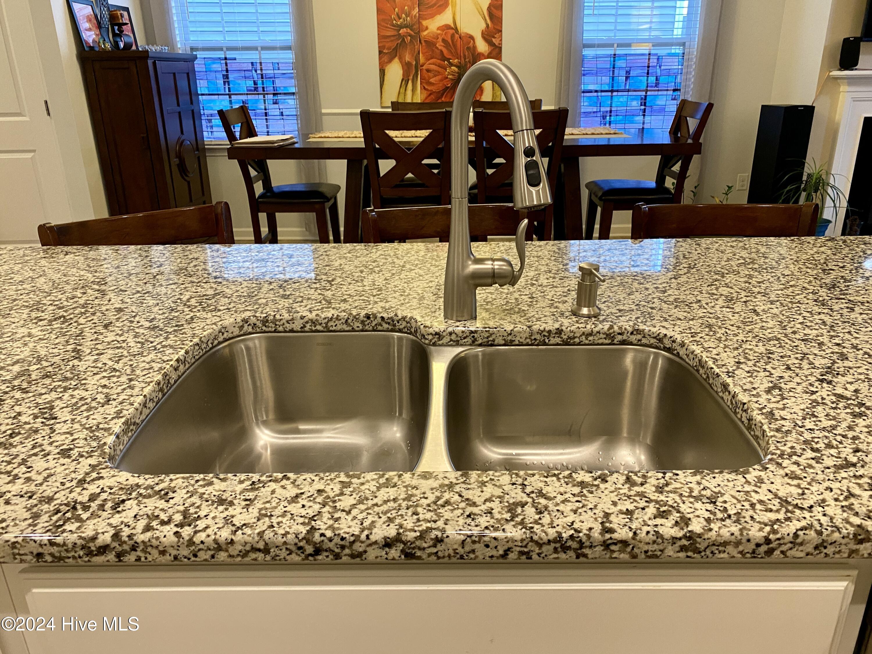 565 Golden Villas Drive Property Photo 9