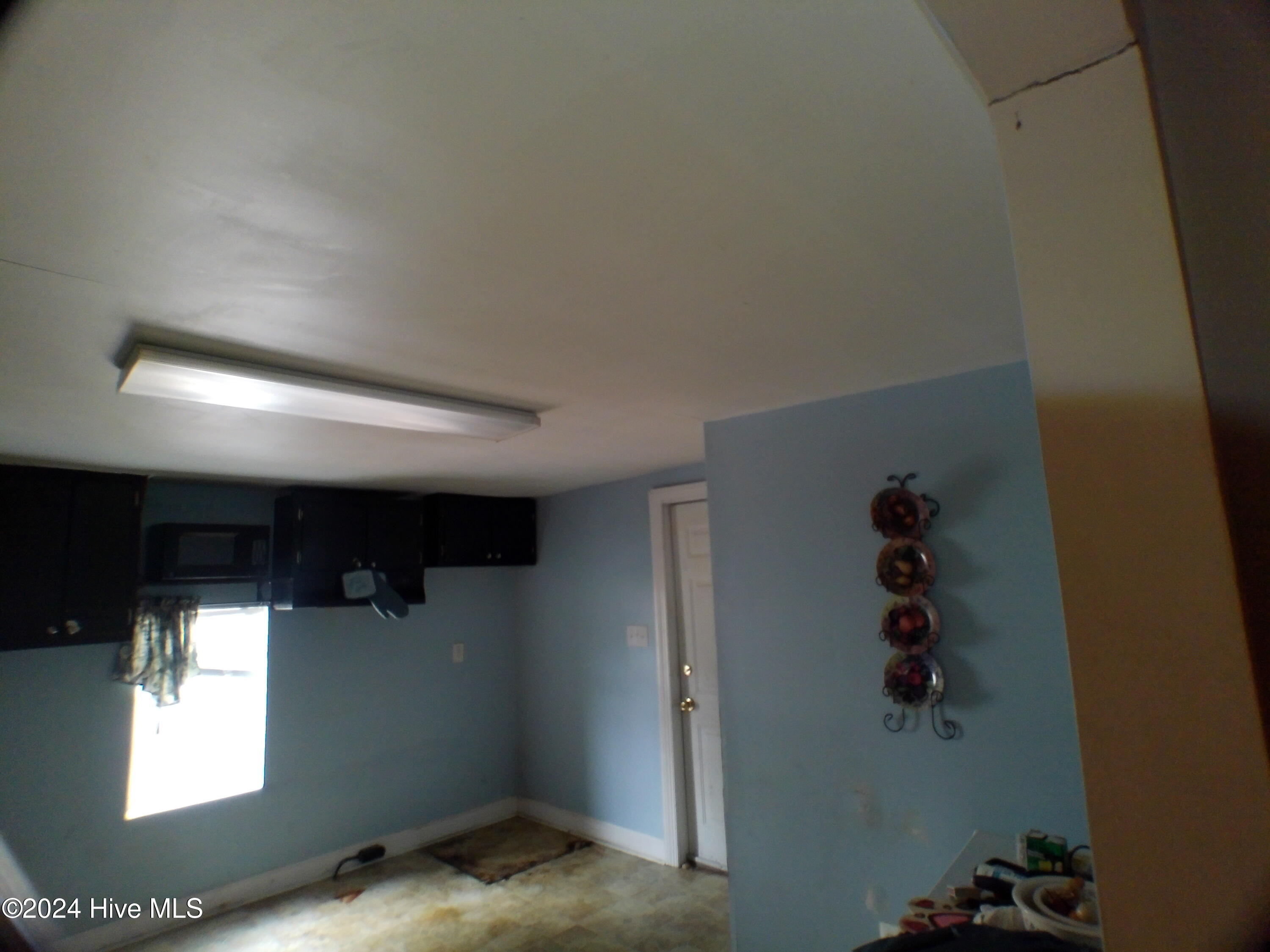 405 Vick Street Property Photo 17
