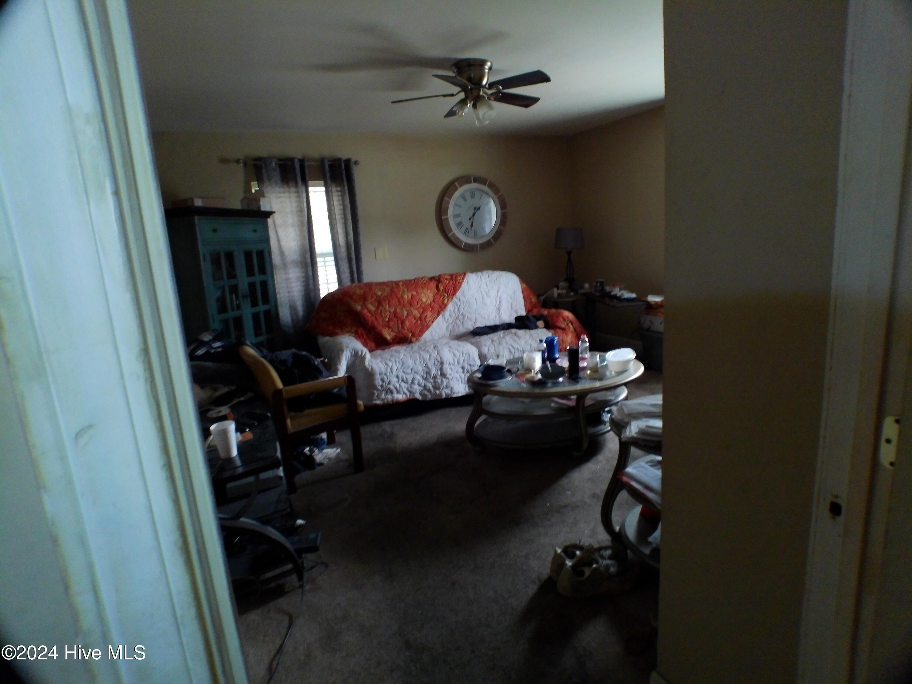 405 Vick Street Property Photo 21
