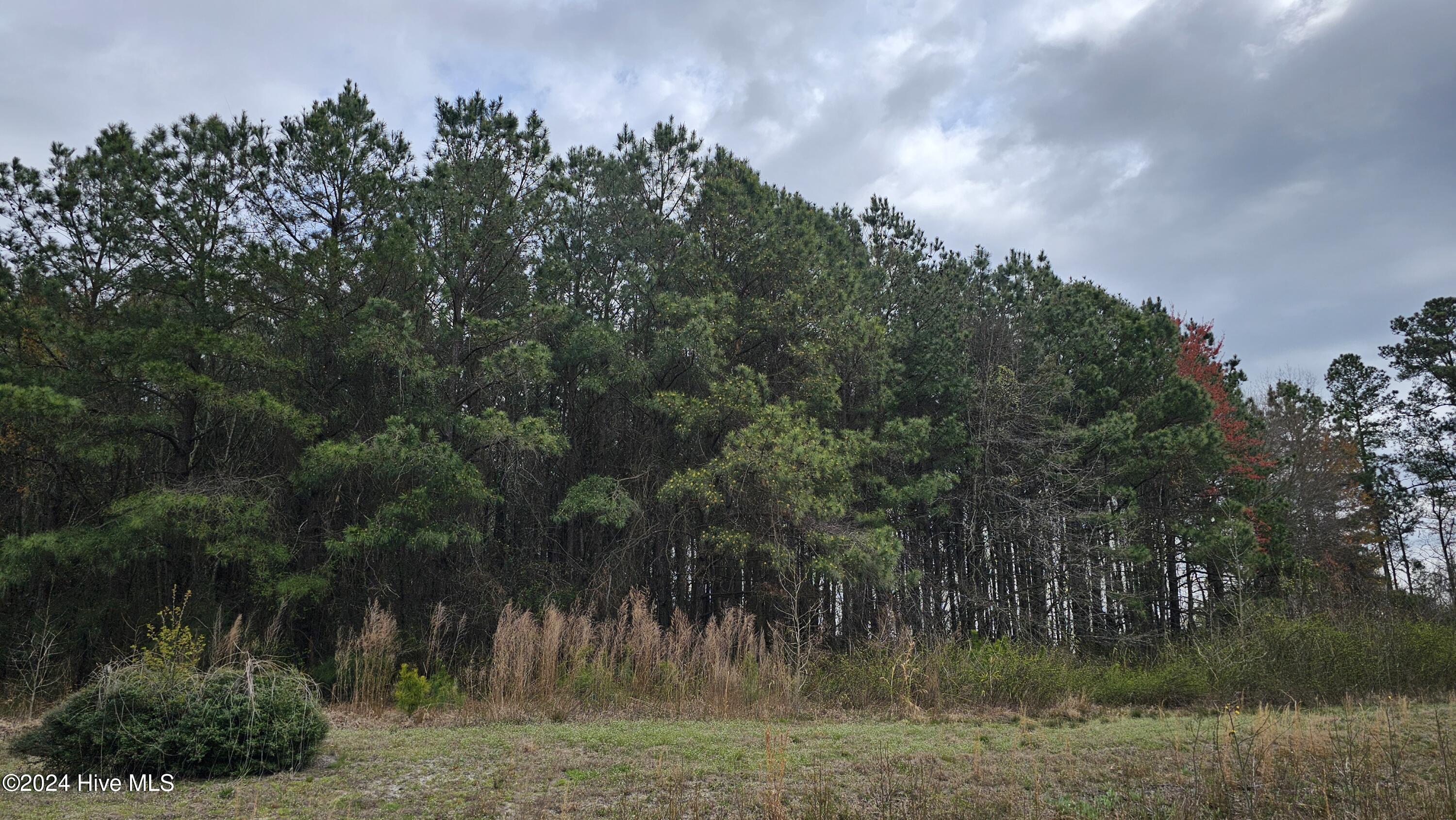 407 D County Line Road Property Photo 2