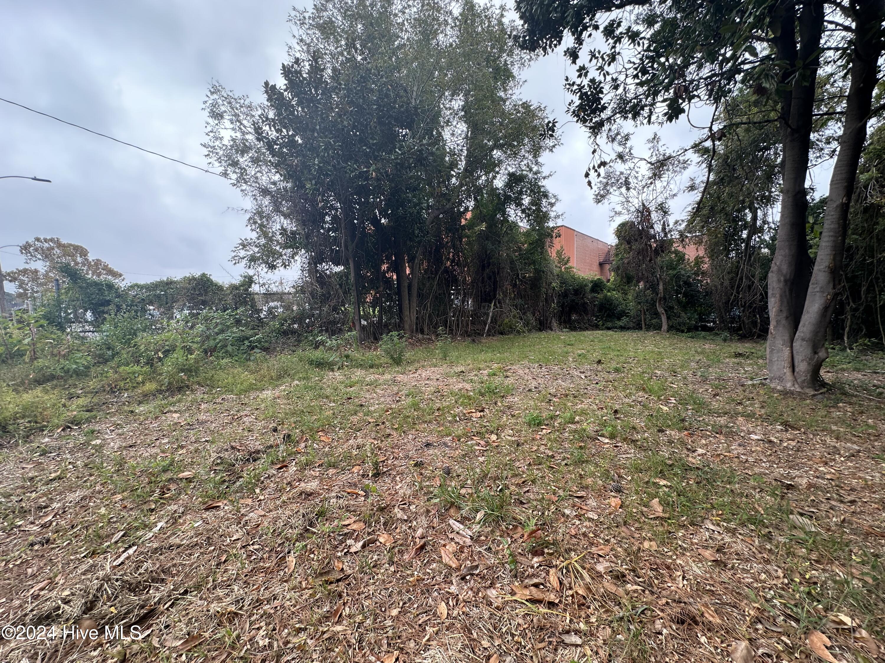 421 College Street Property Photo 2