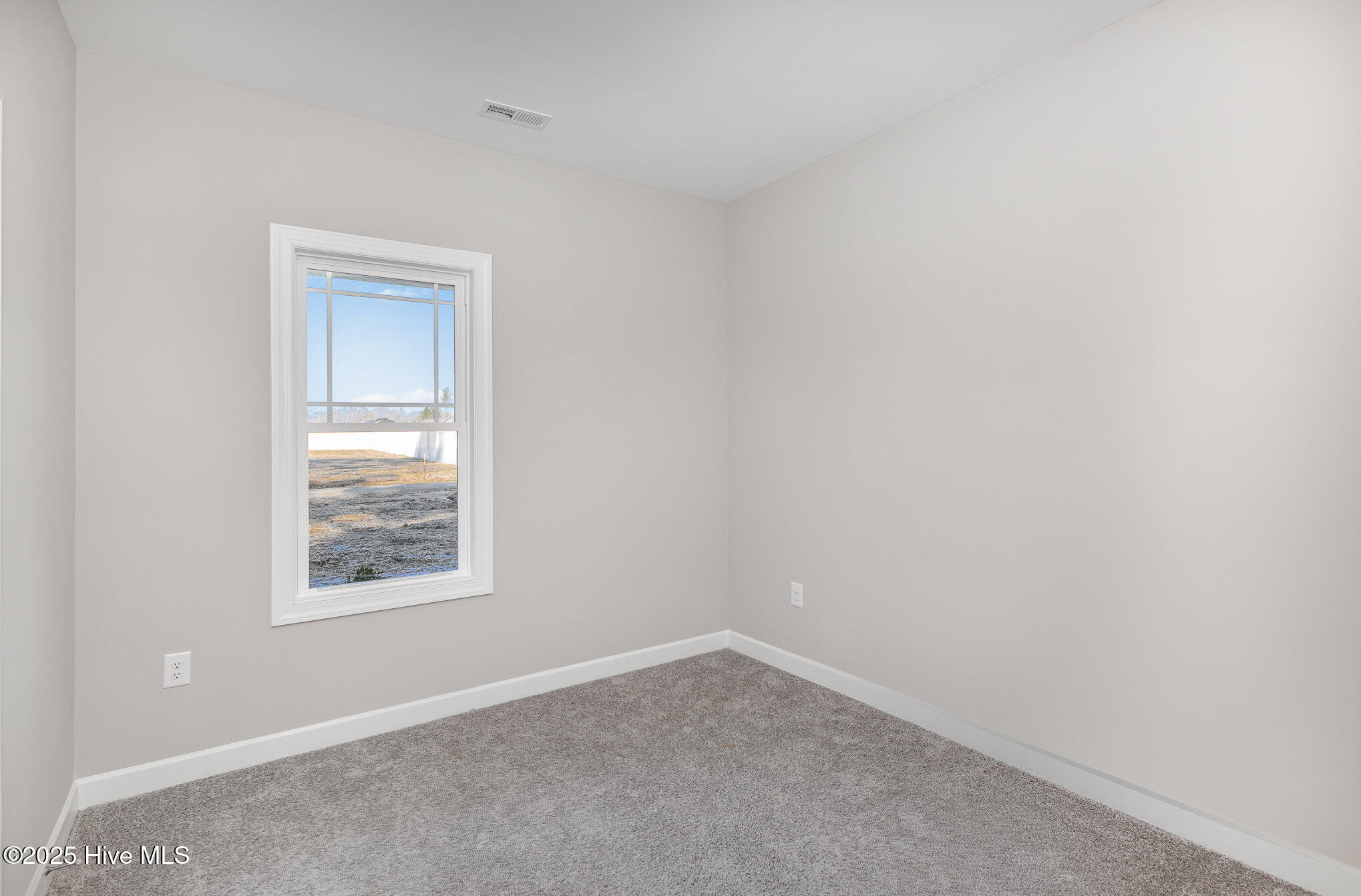 929 Micro Road Property Photo 9