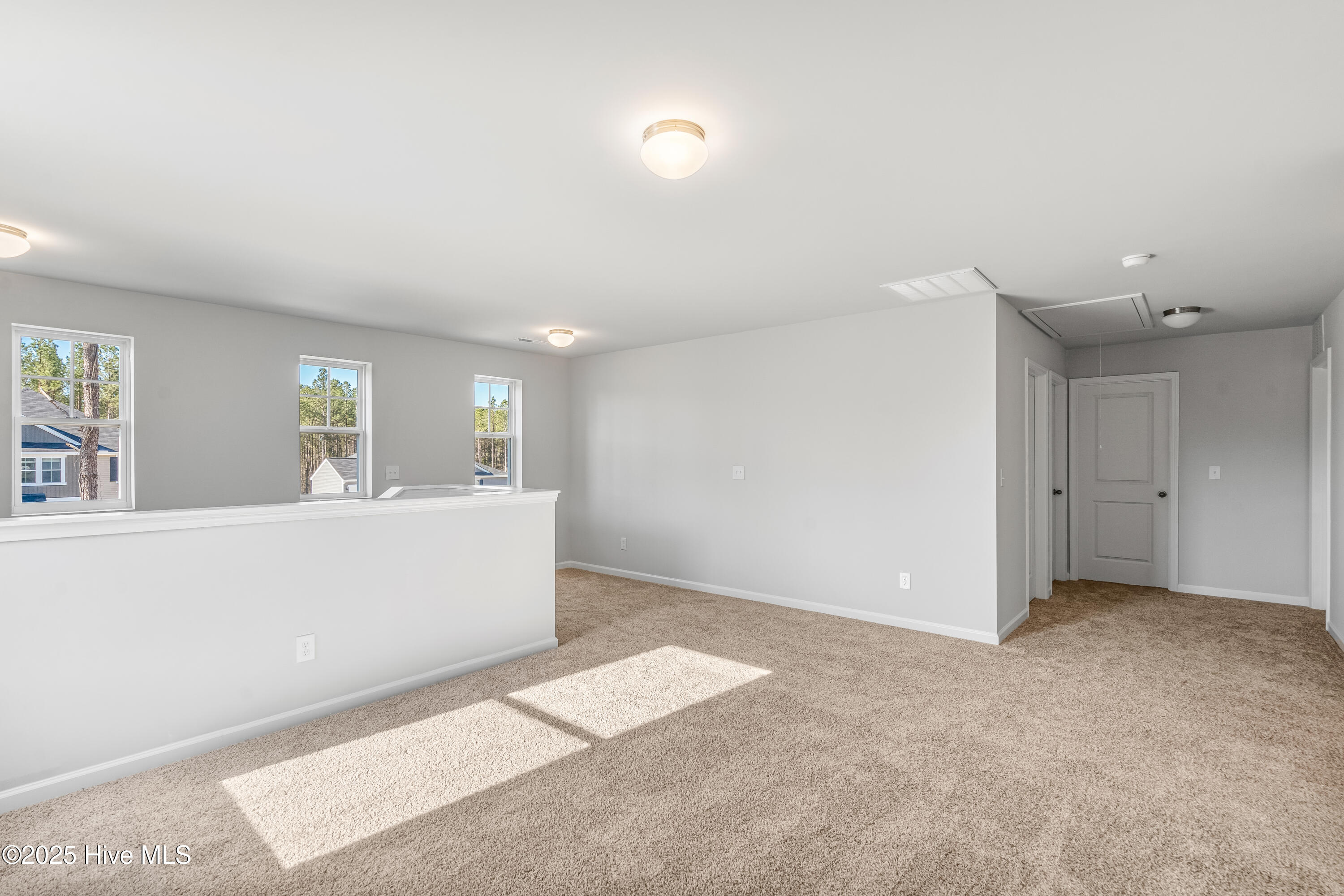 283 Rocking Horse Lane Property Photo 22