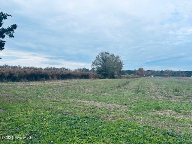 0 Frog Level Road Property Photo 1