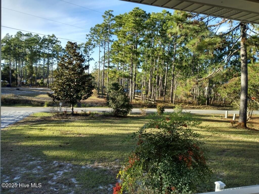 990 Palmetto Road Property Photo 29
