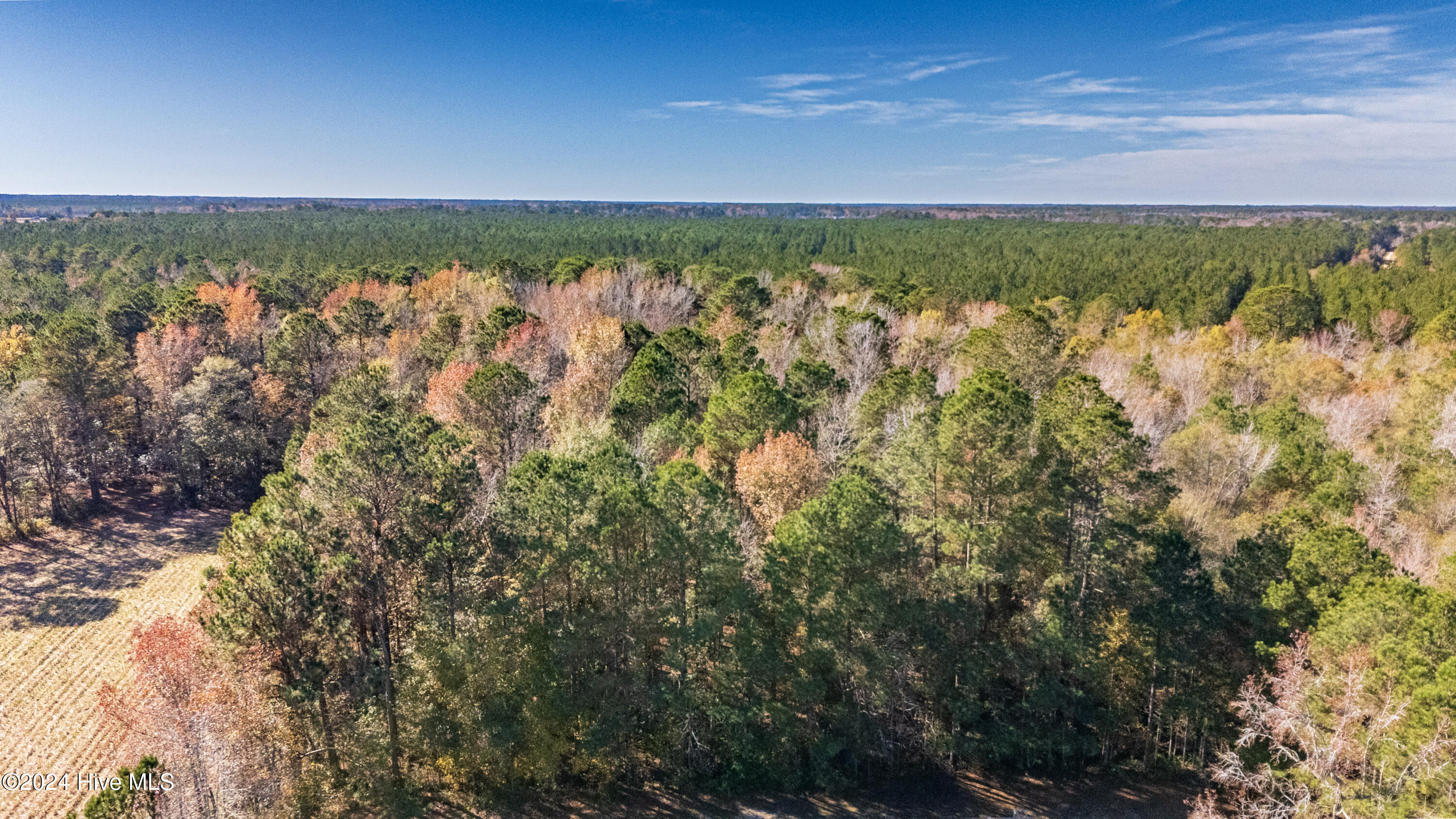 Behind2870 Wilmington Highway/421 Highway Property Photo 5