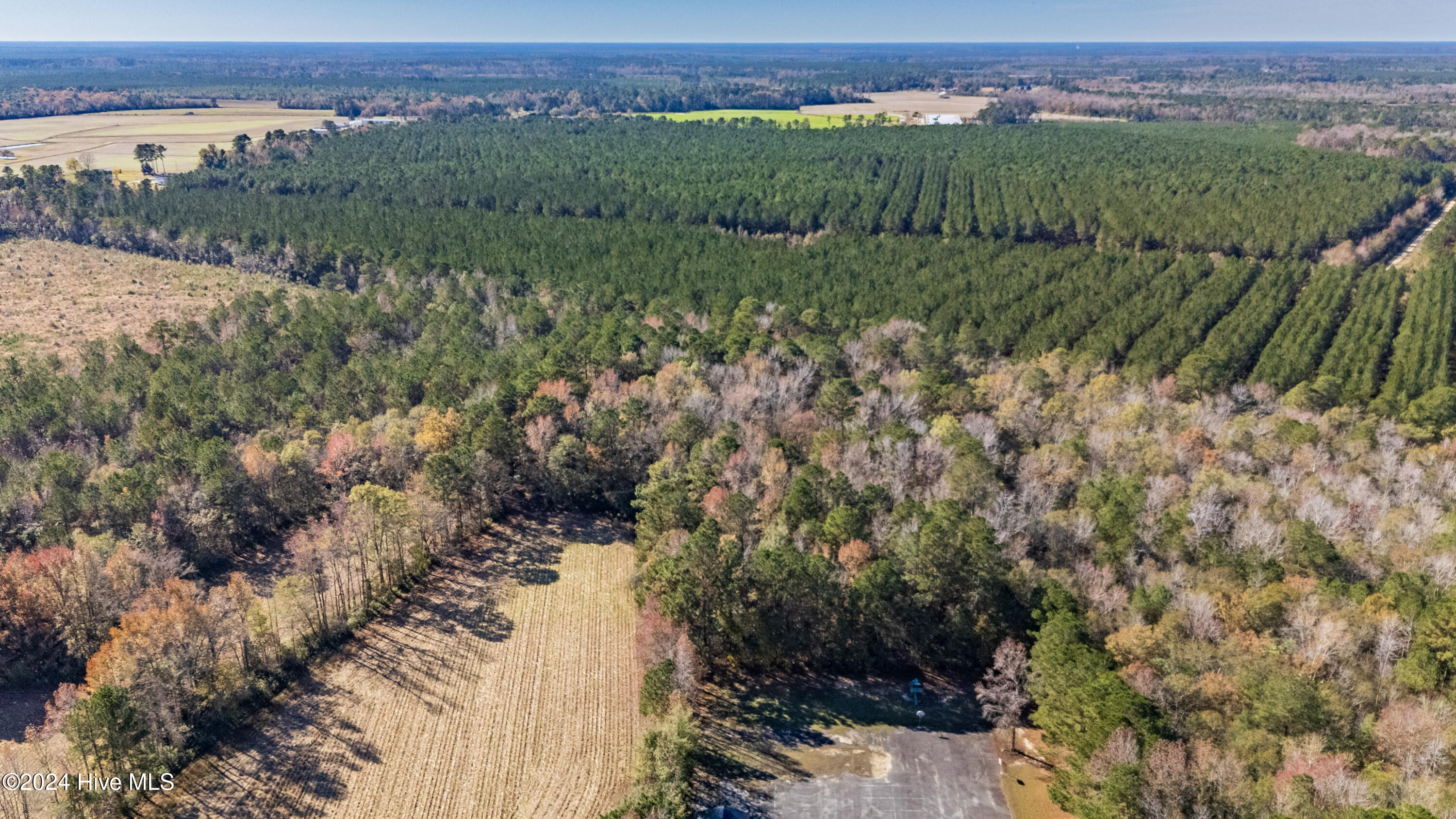 Behind2870 Wilmington Highway/421 Highway Property Photo 11