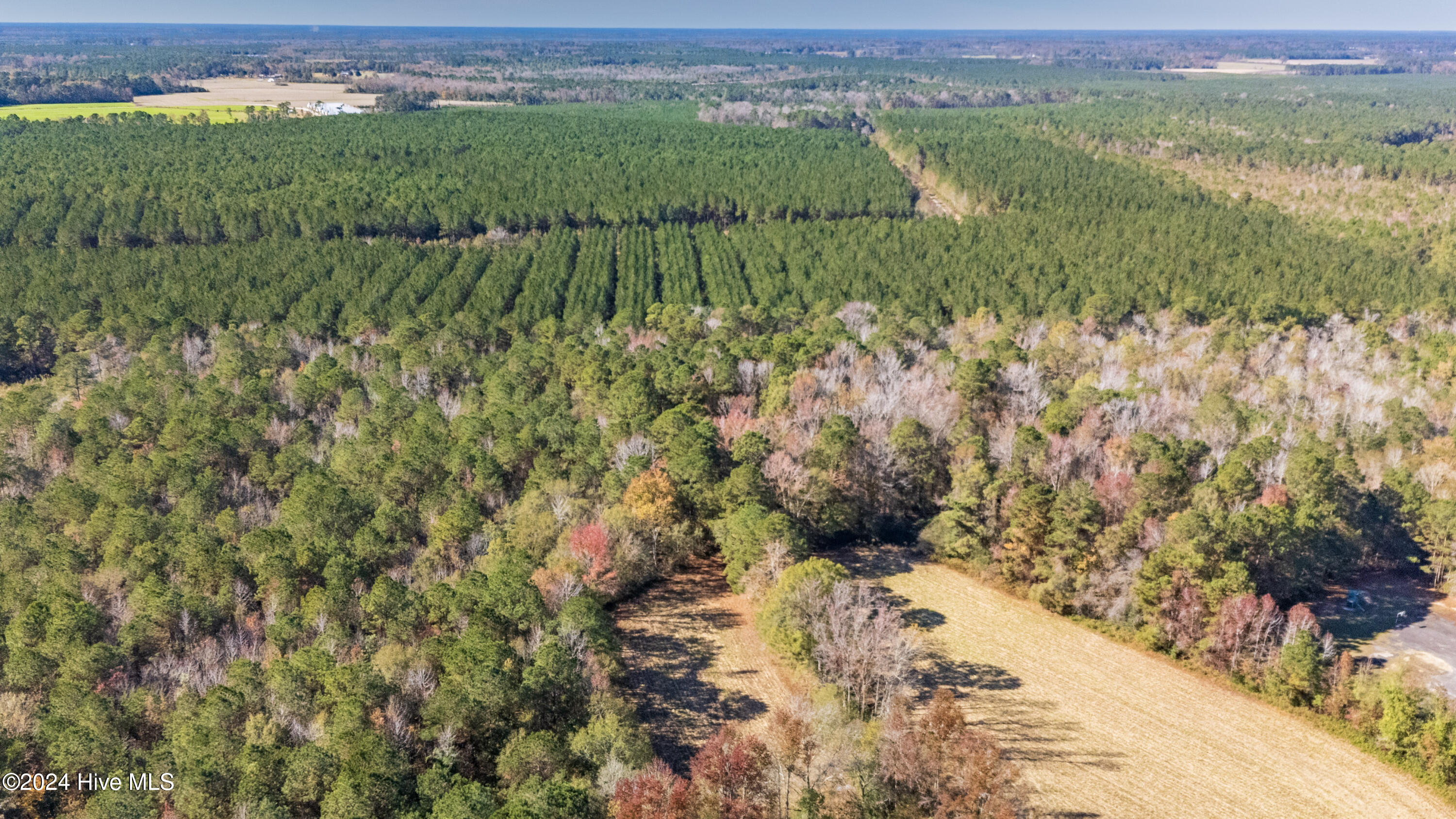 Behind2870 Wilmington Highway/421 Highway Property Photo 12