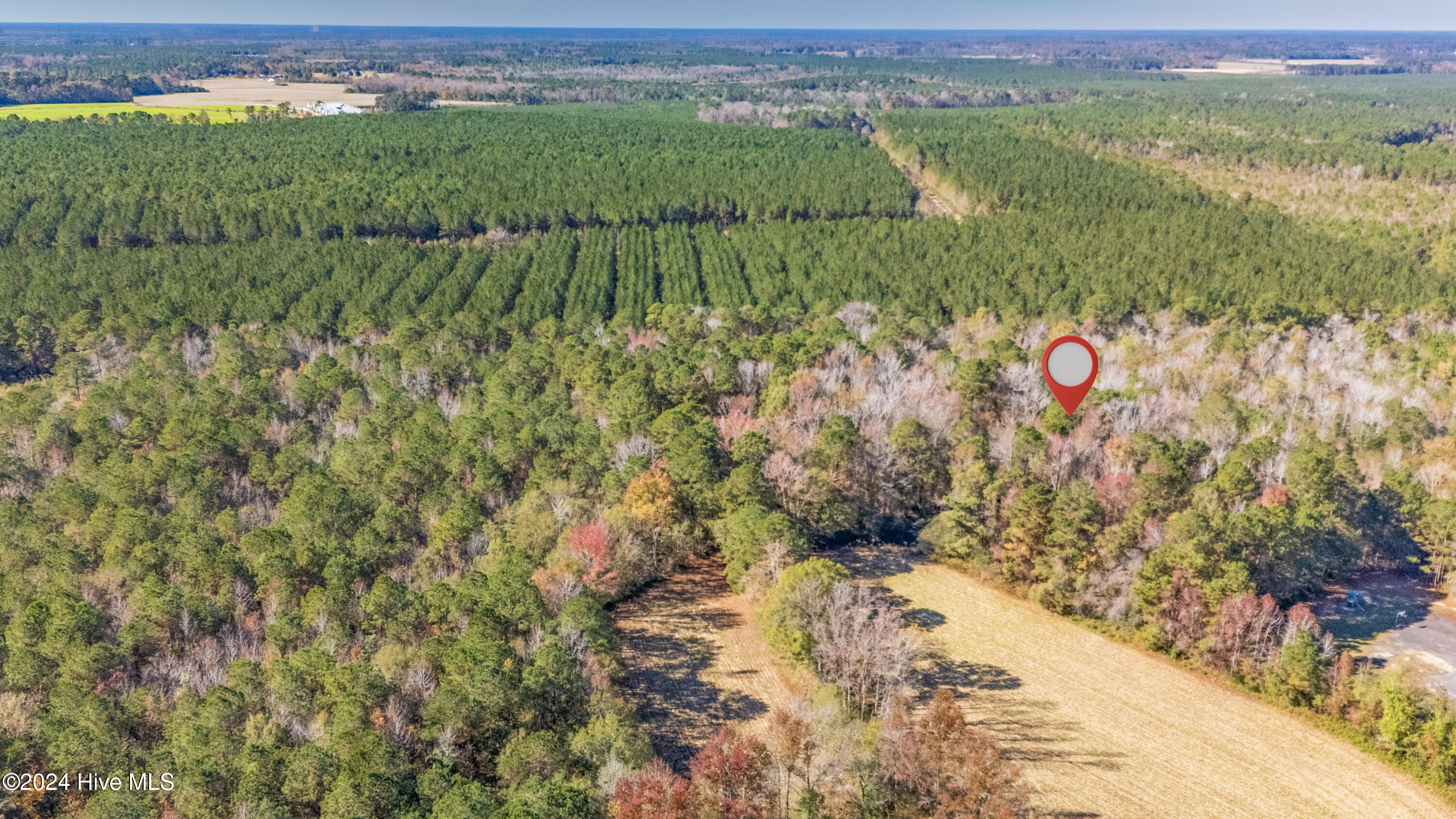 Behind2870 Wilmington Highway/421 Highway Property Photo 13
