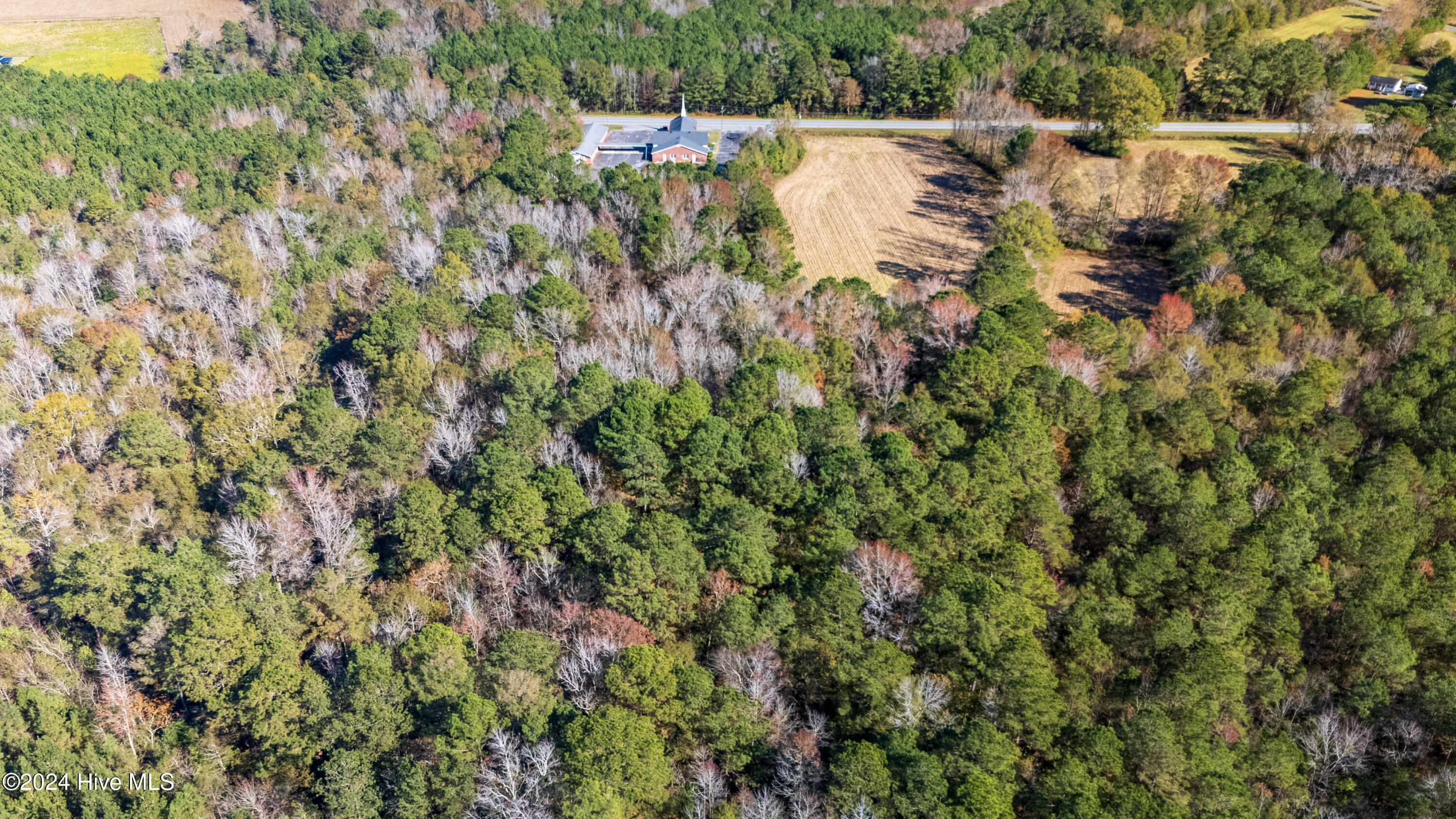 Behind2870 Wilmington Highway/421 Highway Property Photo 14
