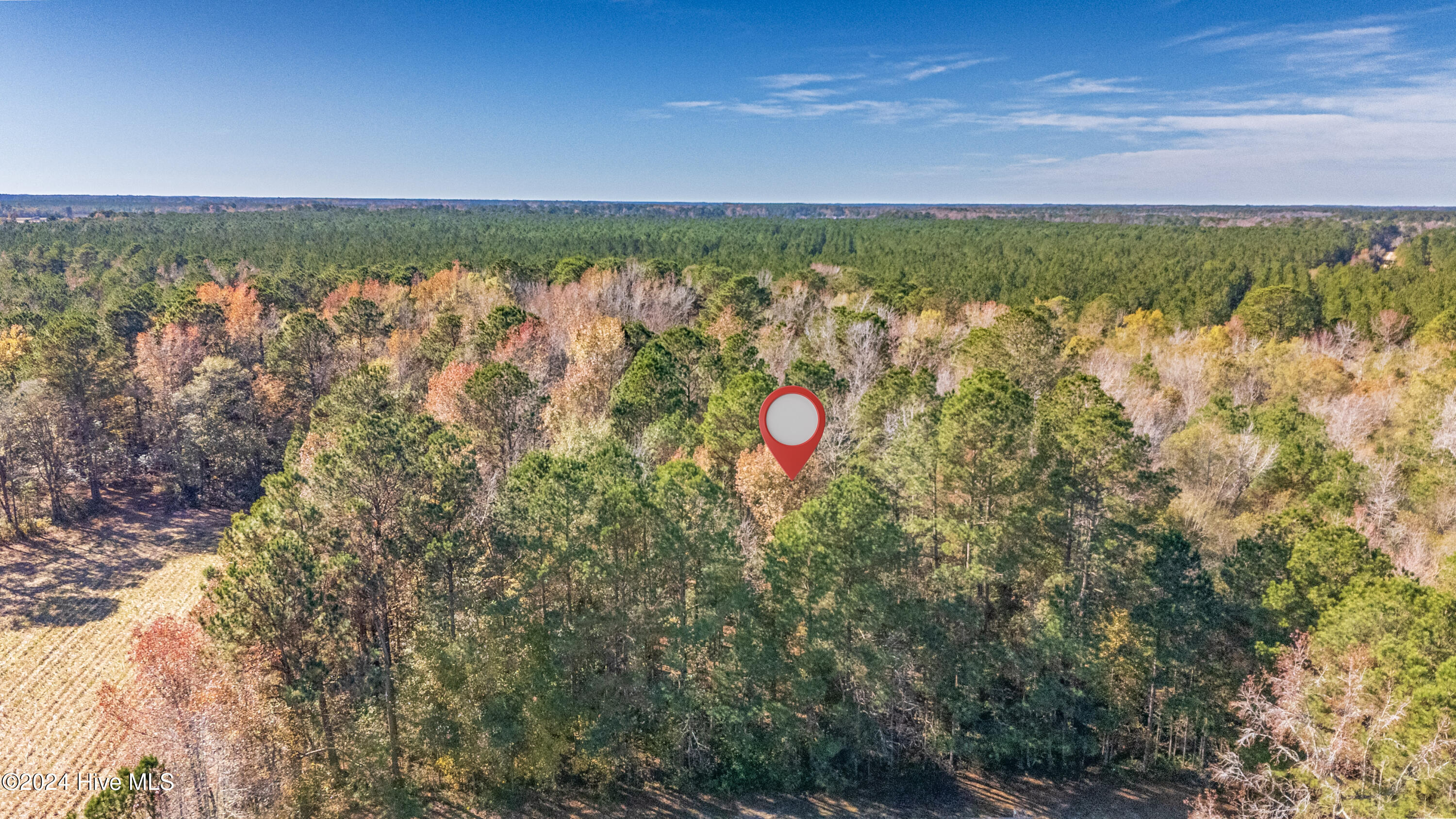 Behind2870 Wilmington Highway/421 Highway Property Photo 19