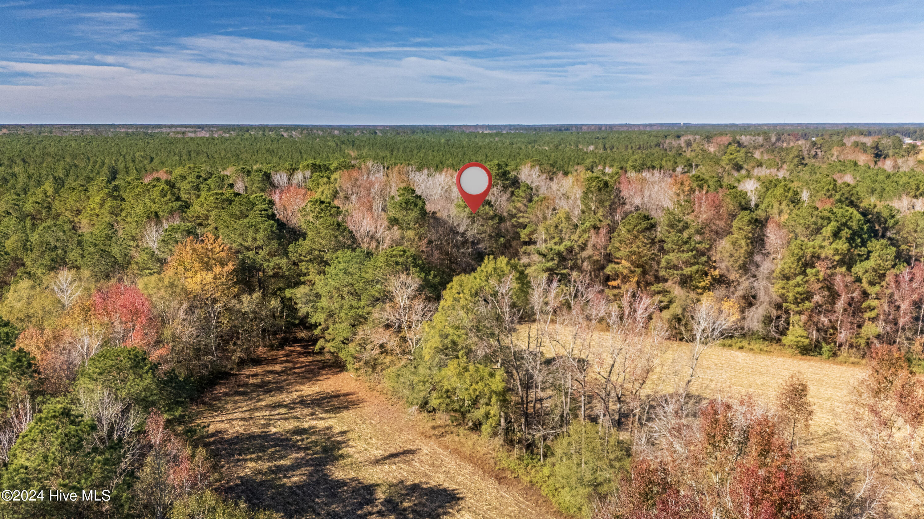 Behind2870 Wilmington Highway/421 Highway Property Photo 21