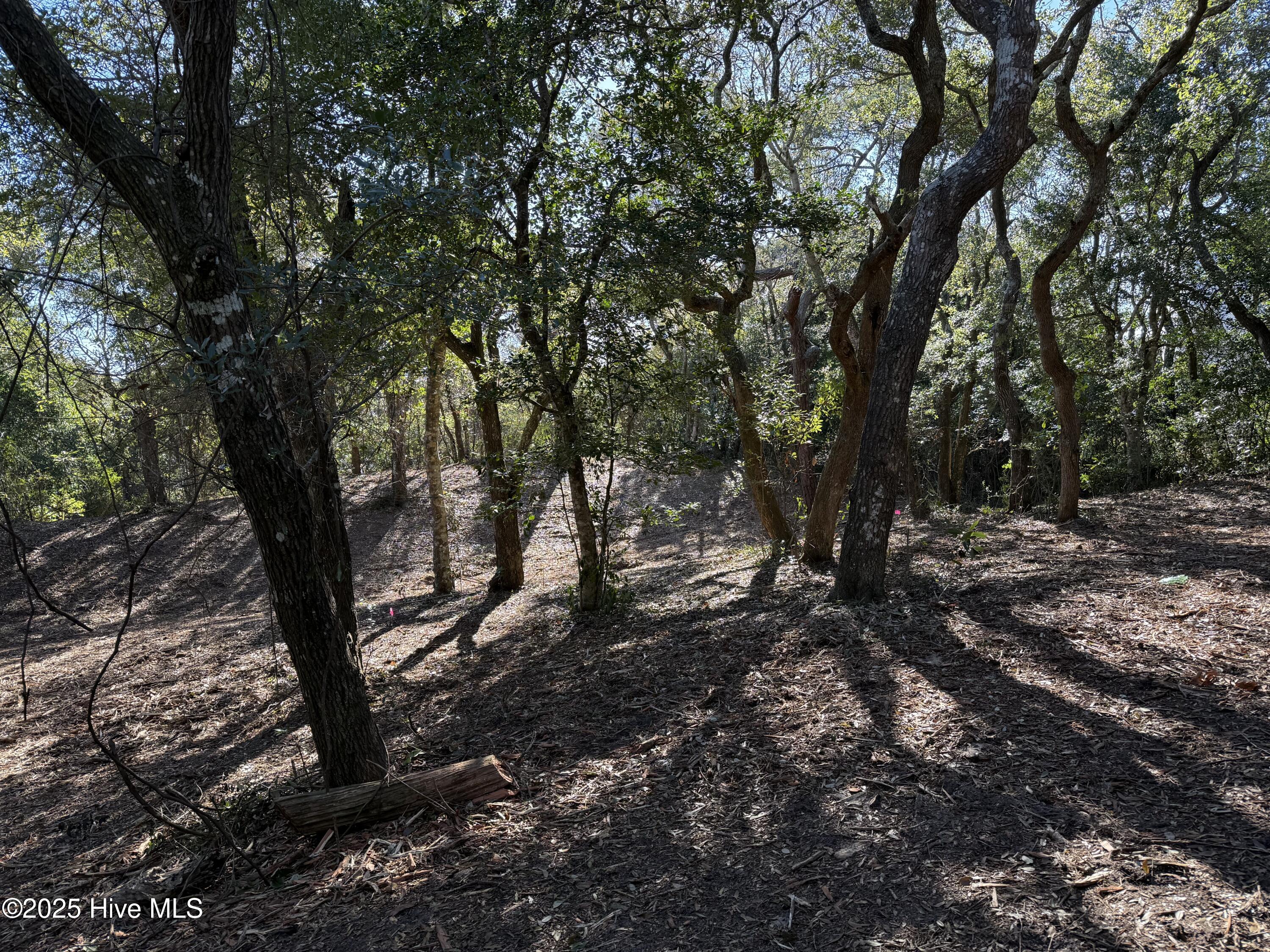 101 Kiawa Way Property Photo 22