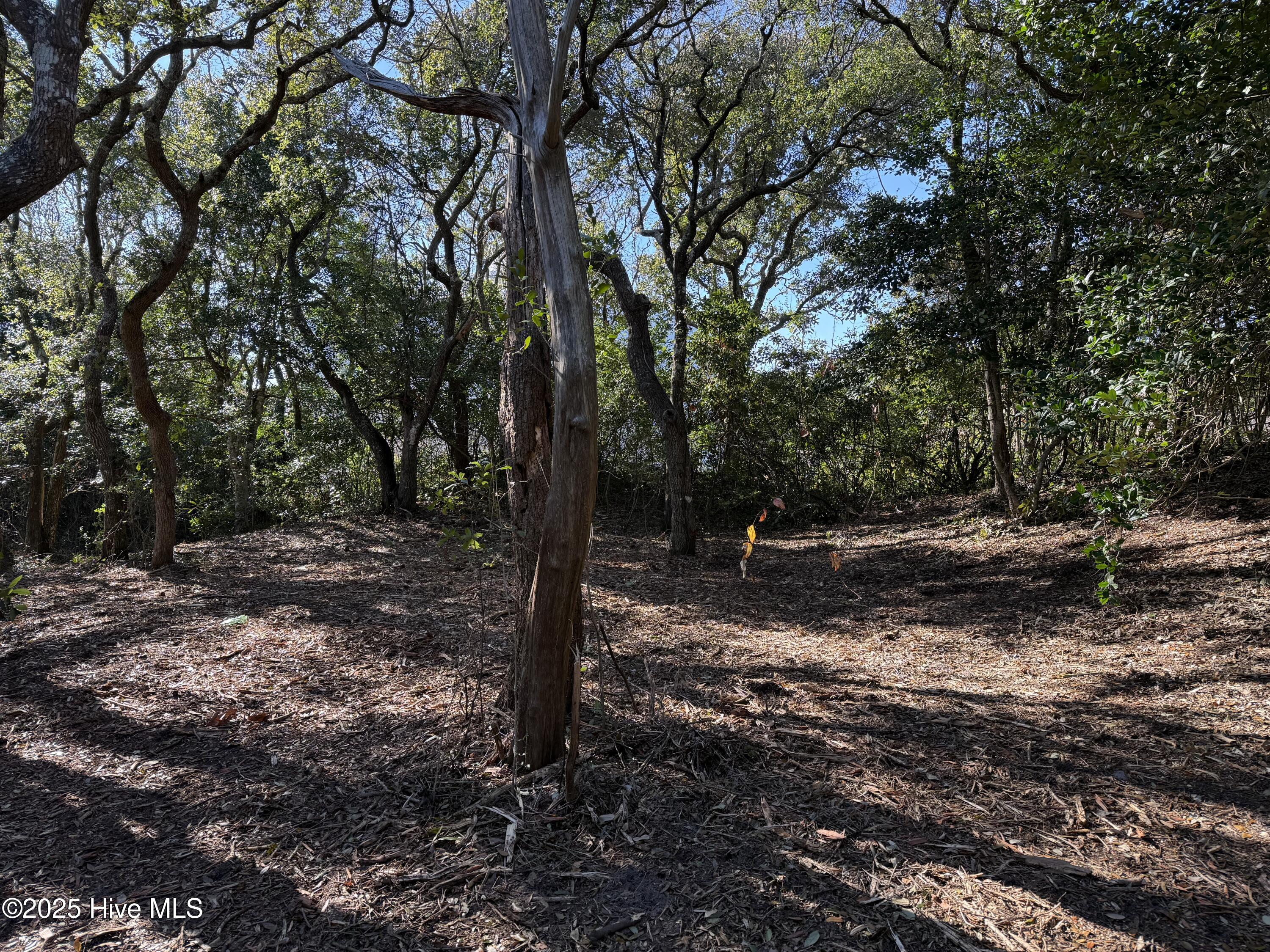 101 Kiawa Way Property Photo 23