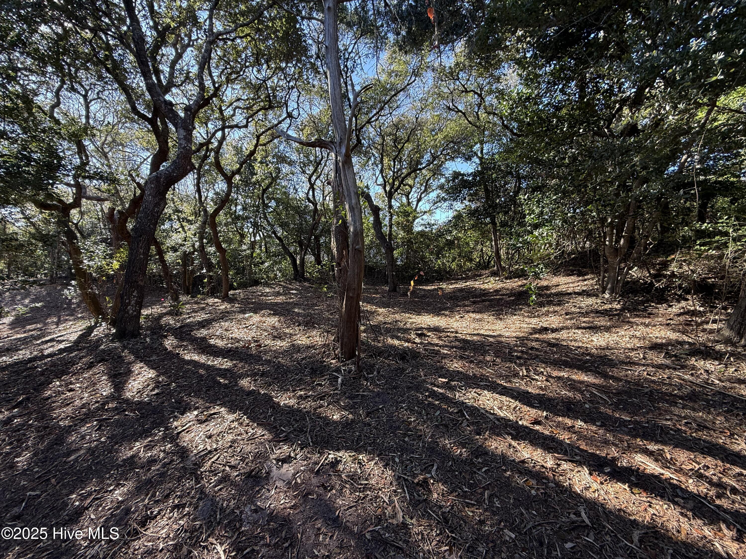101 Kiawa Way Property Photo 24