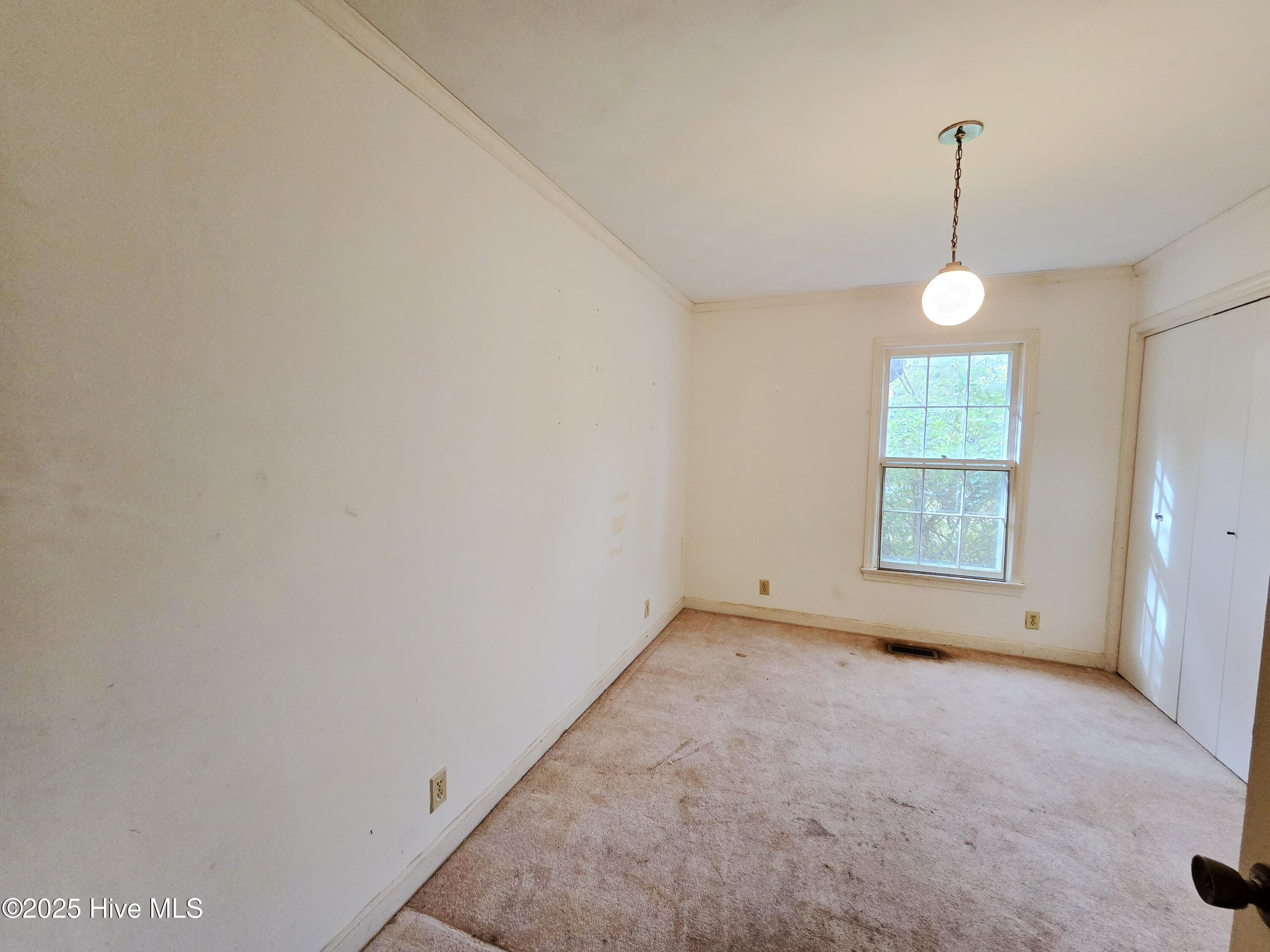 503 Castleton Drive Property Photo 12