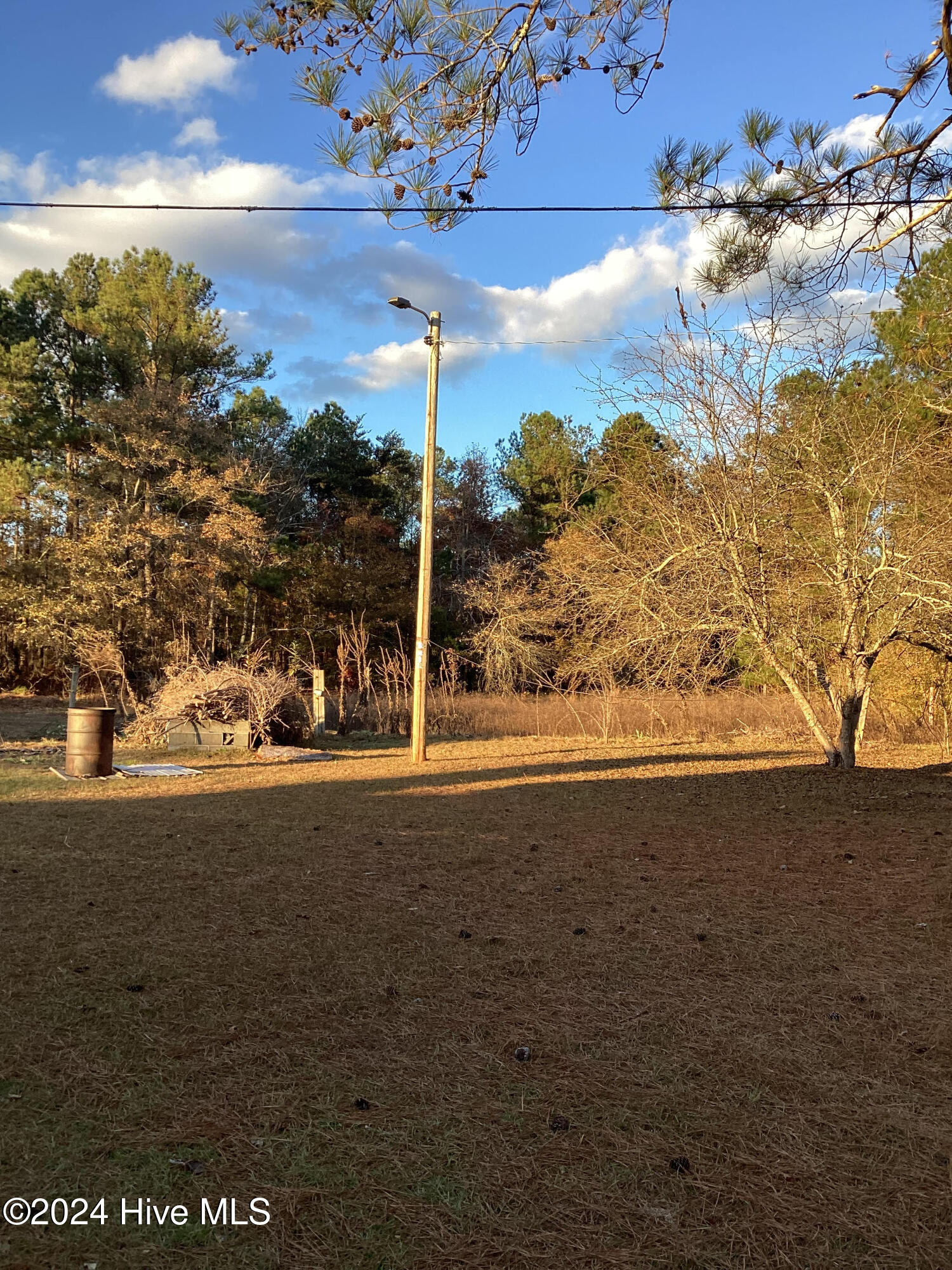 130 Michael Maezyck Road Property Photo 16
