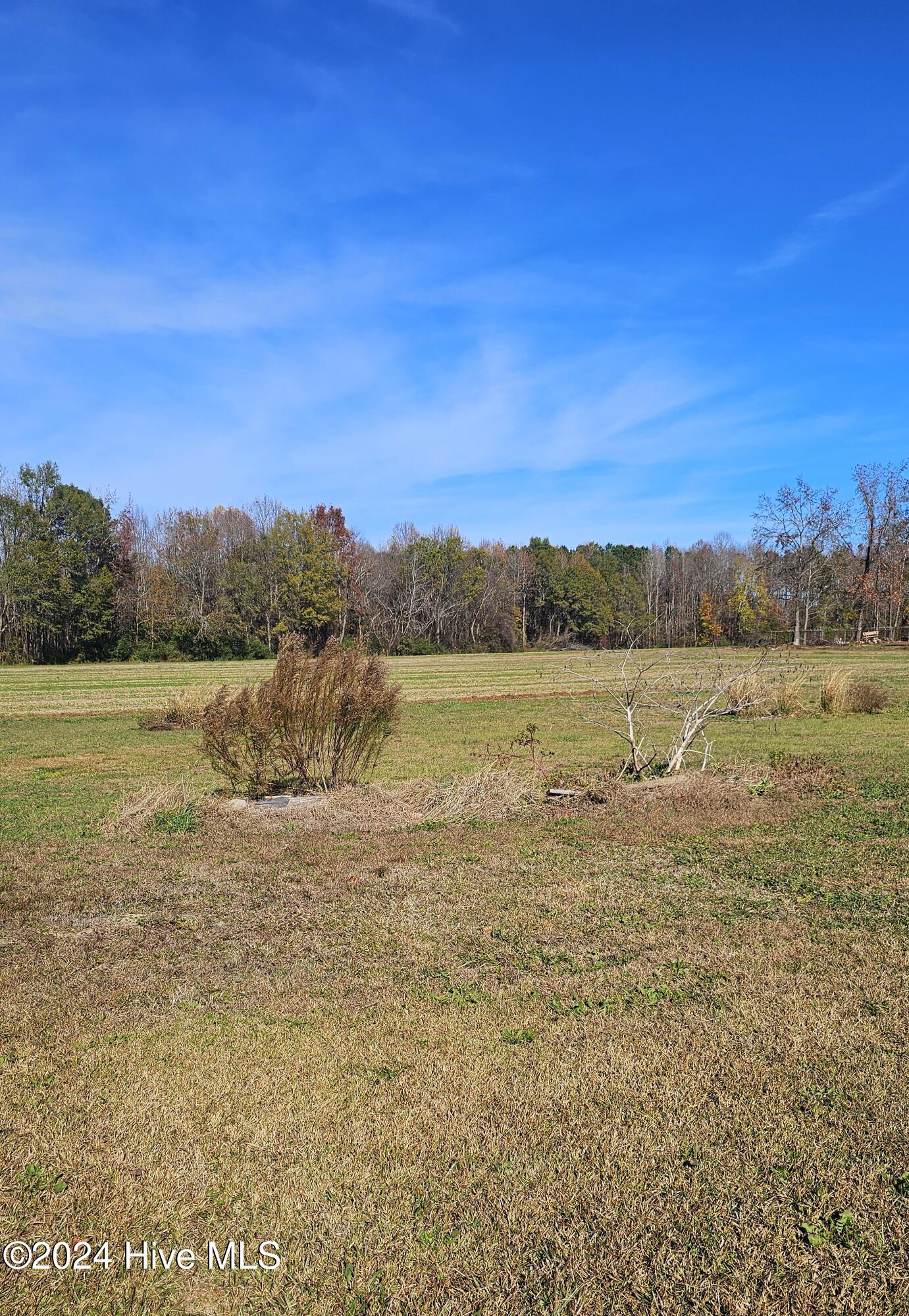 109 Mill Pond Road Property Photo 8