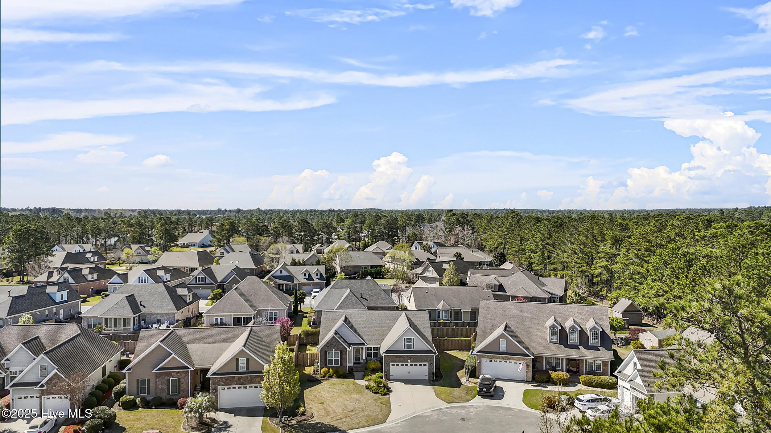 1029 Sparkle Stream Court Property Photo 3