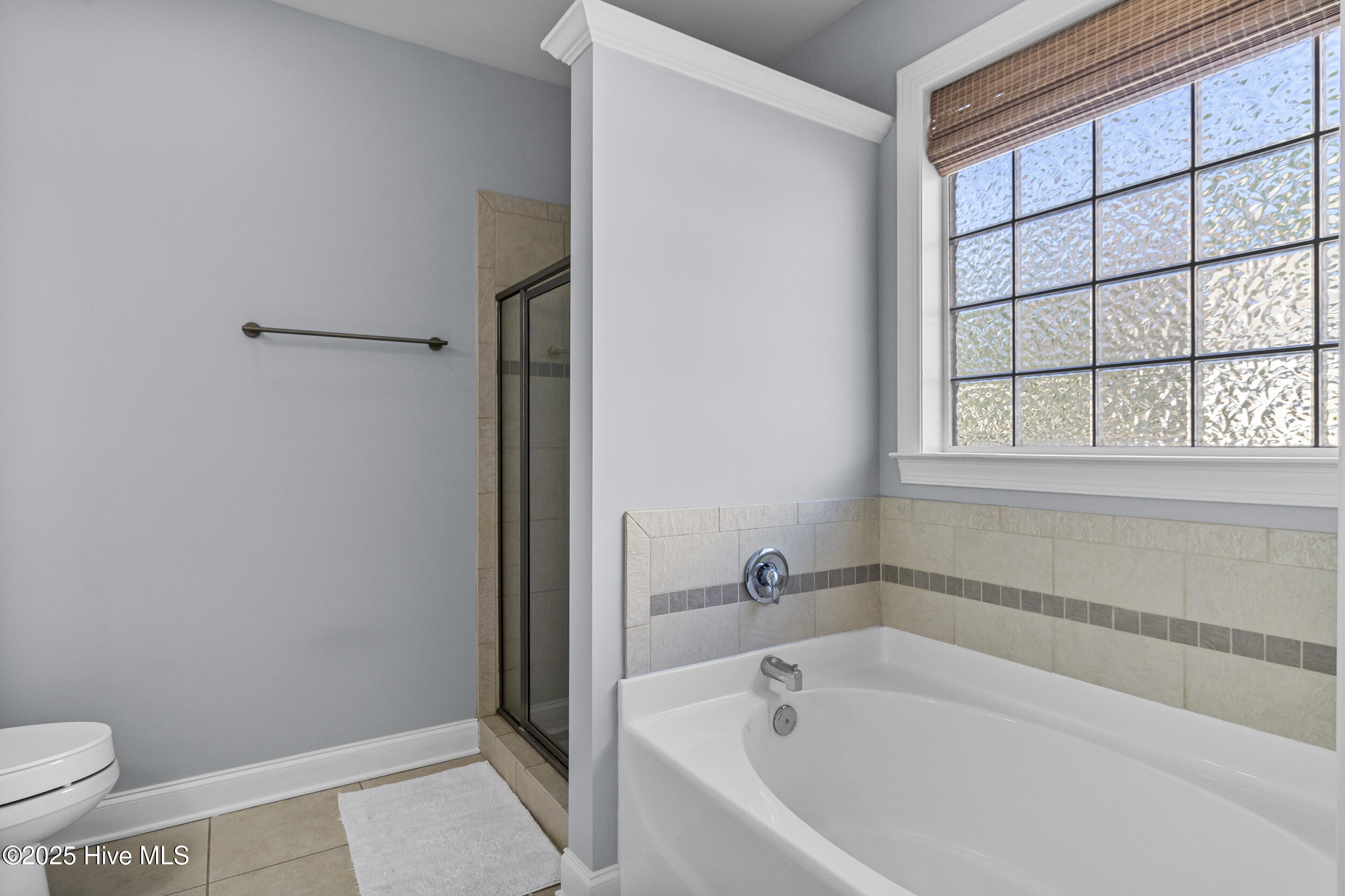 1029 Sparkle Stream Court Property Photo 29