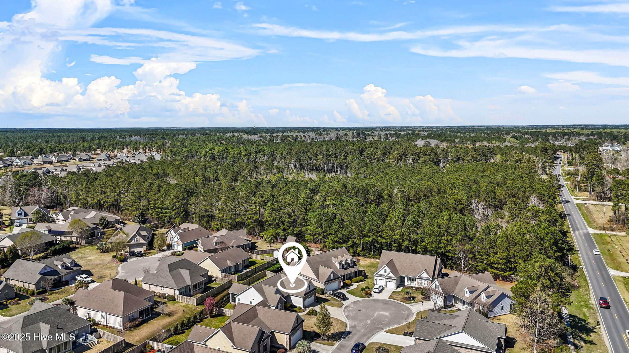 1029 Sparkle Stream Court Property Photo 38