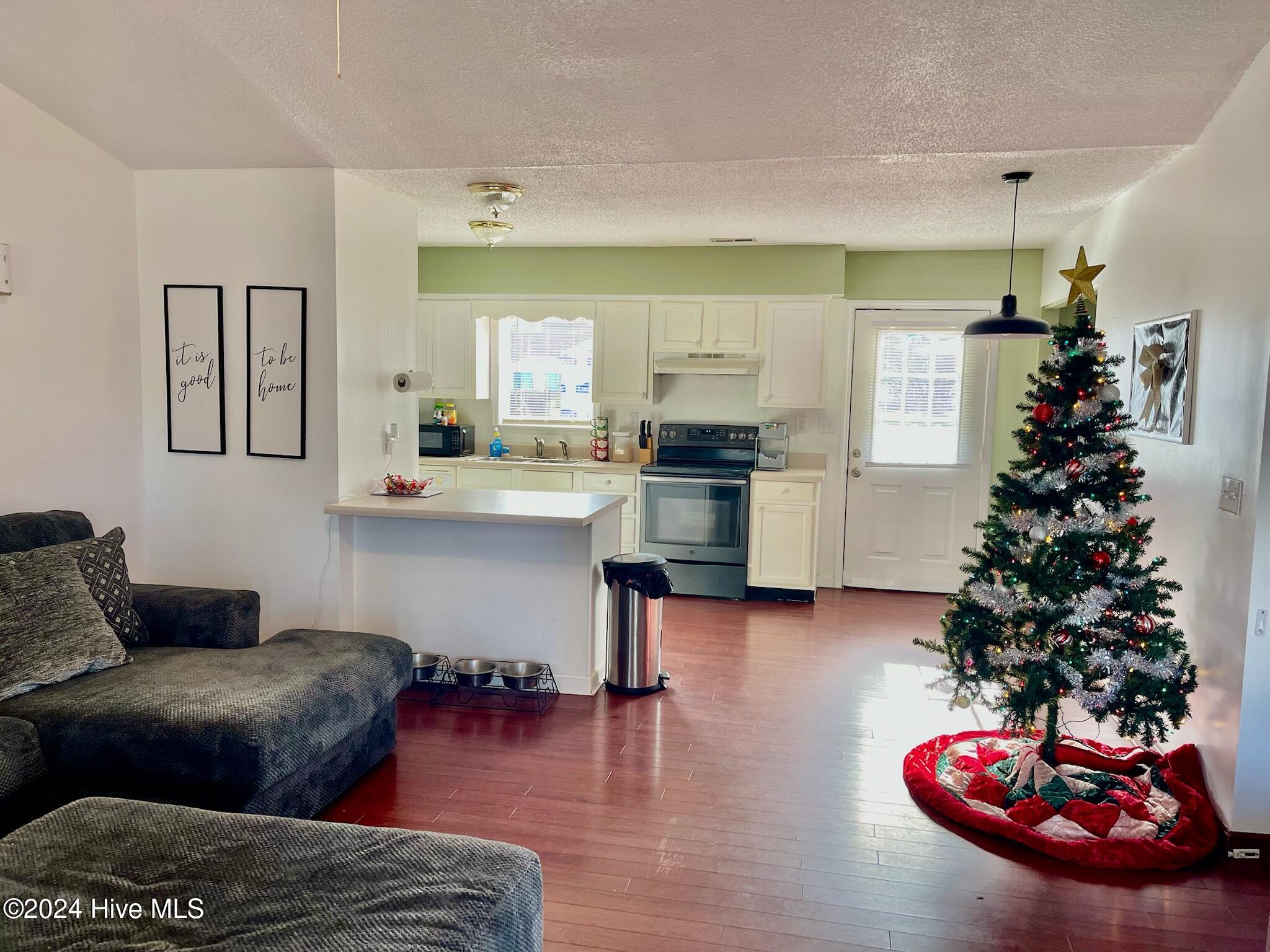 685 Old Cheraw Highway Property Photo 6