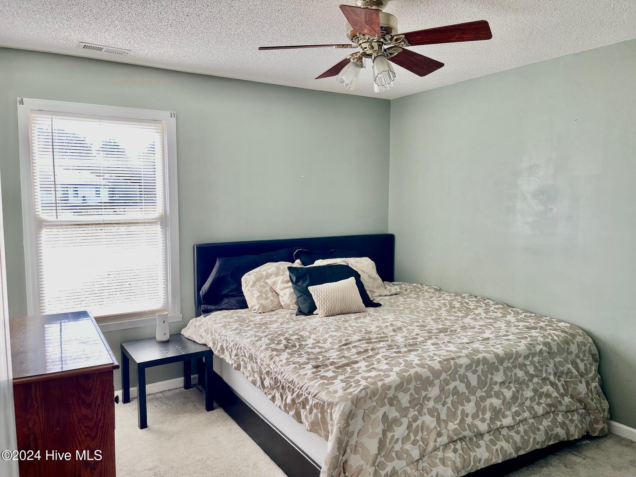685 Old Cheraw Highway Property Photo 10