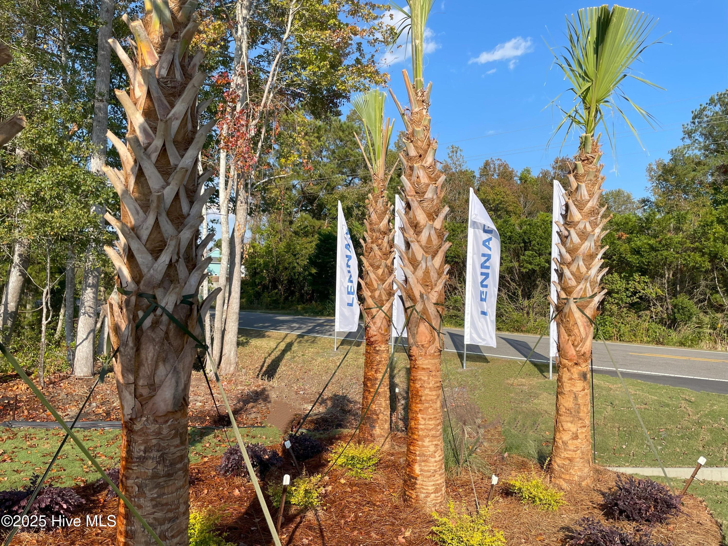 739 Little Gull Way Savannah Lot 72 Property Photo 13