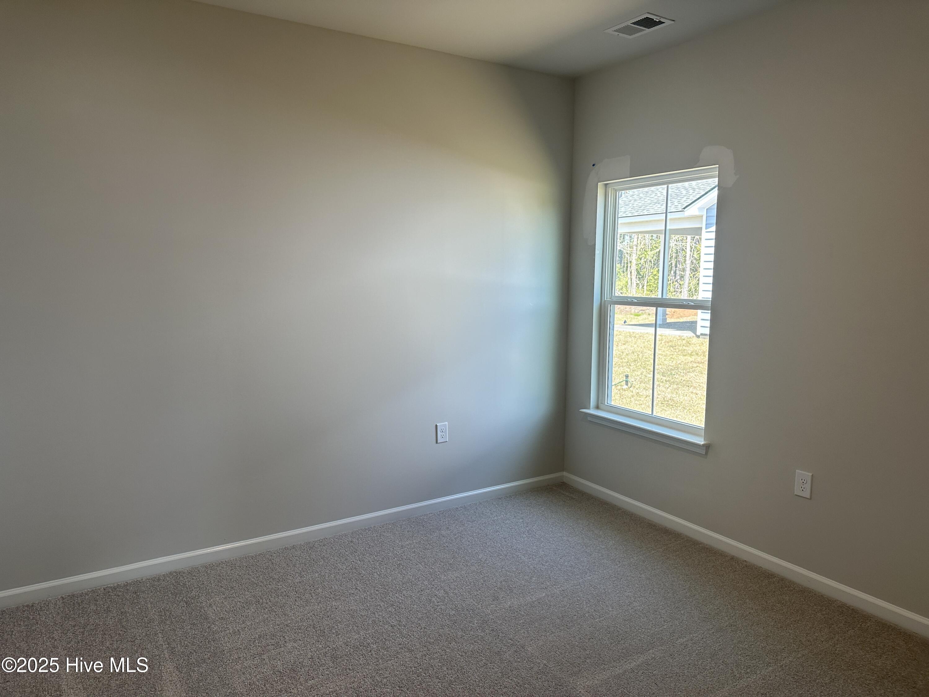 3326 Wood Stork Drive Litchfield Ii Lot 51 Property Photo 5